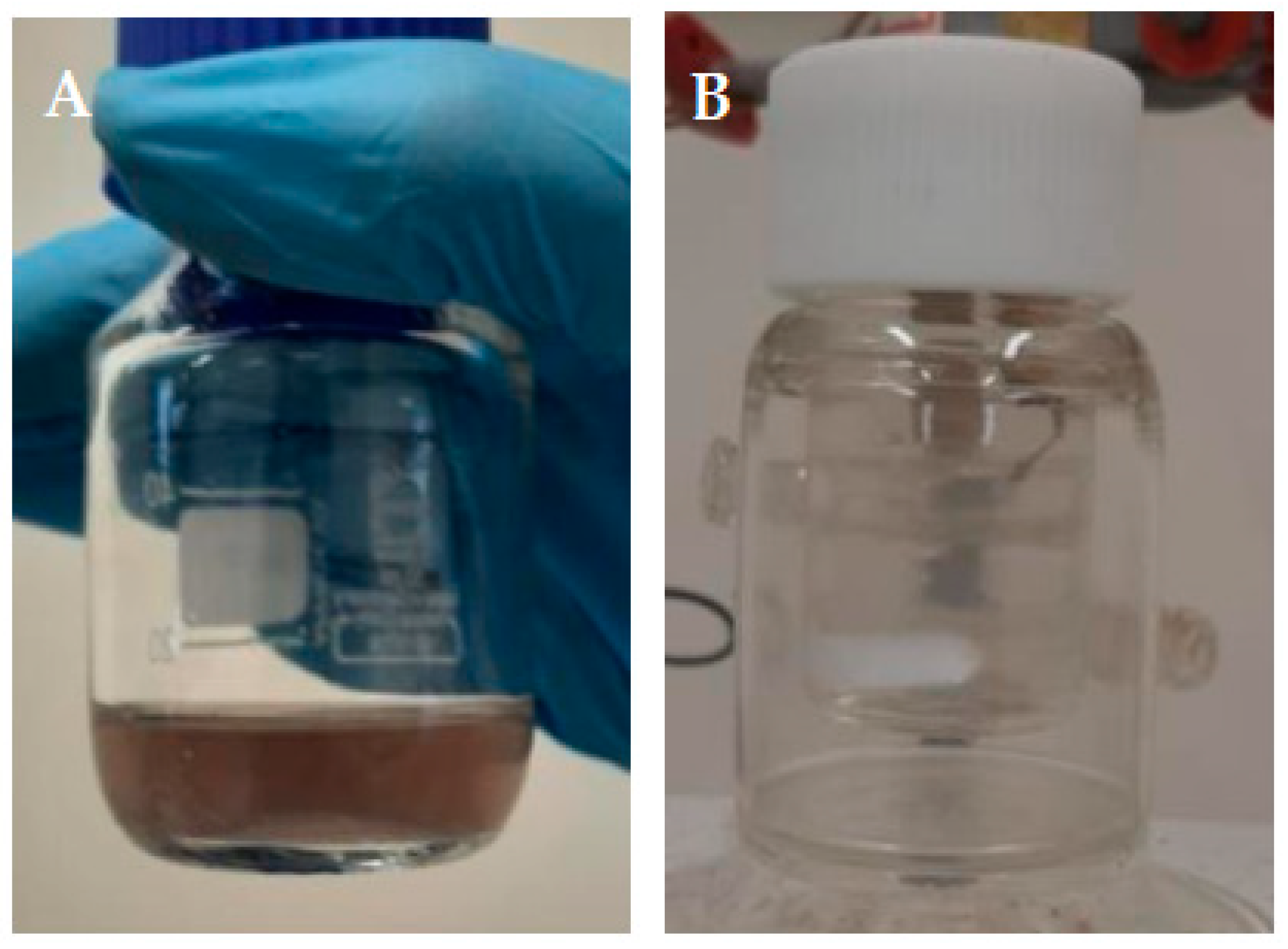 Molecules 28 06361 g010