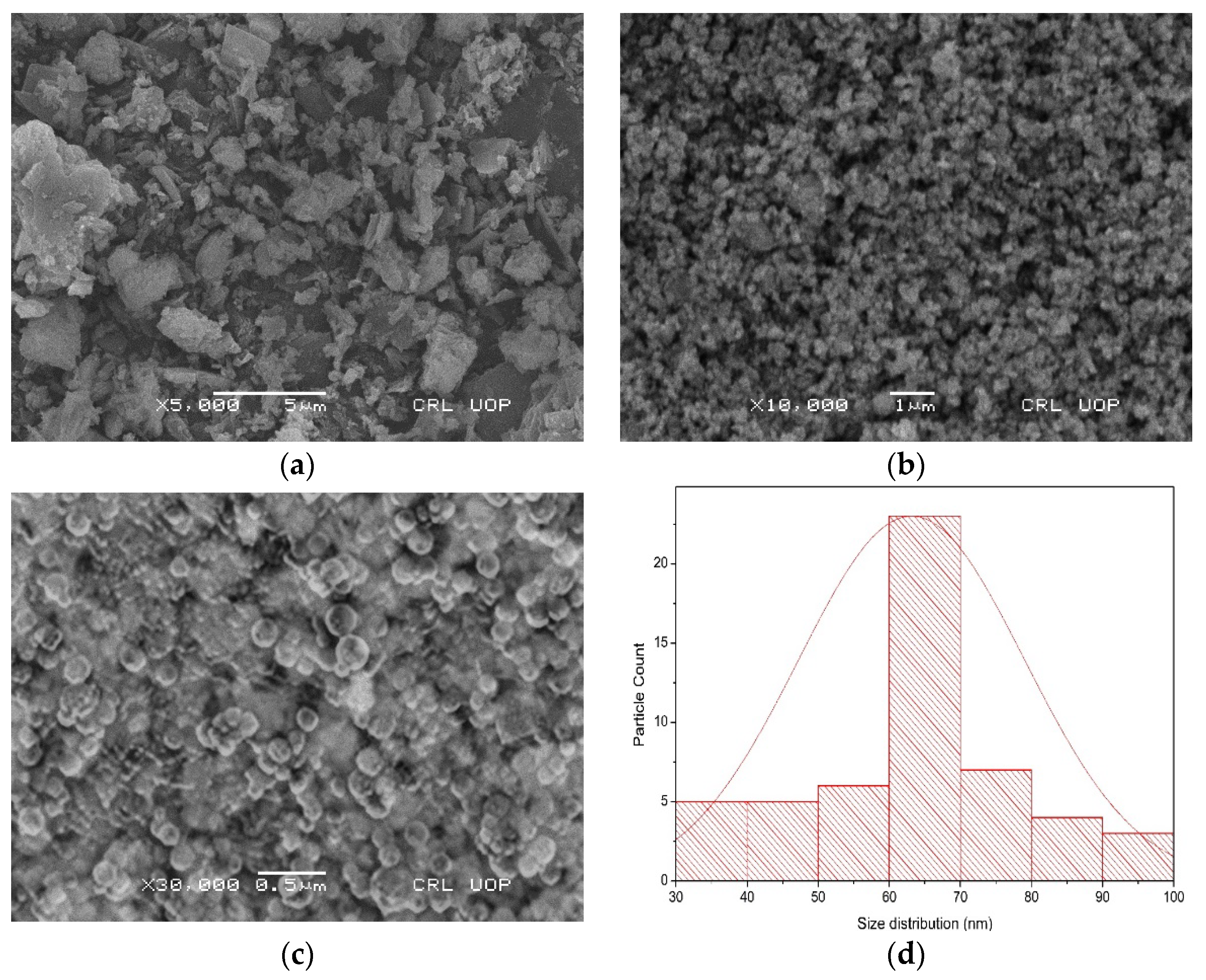 Molecules 28 06364 g004