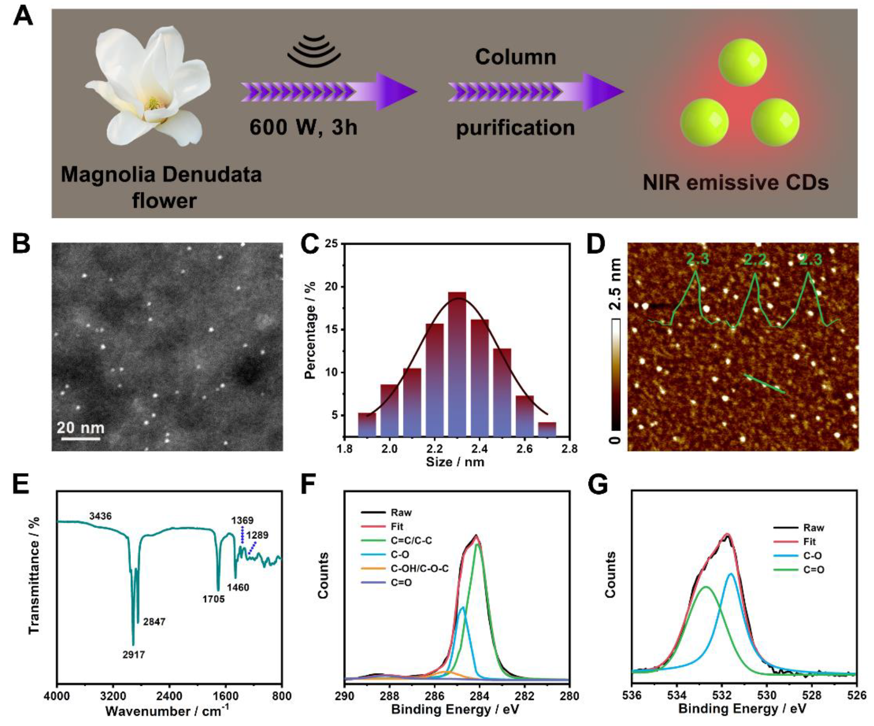Molecules 28 06366 g001