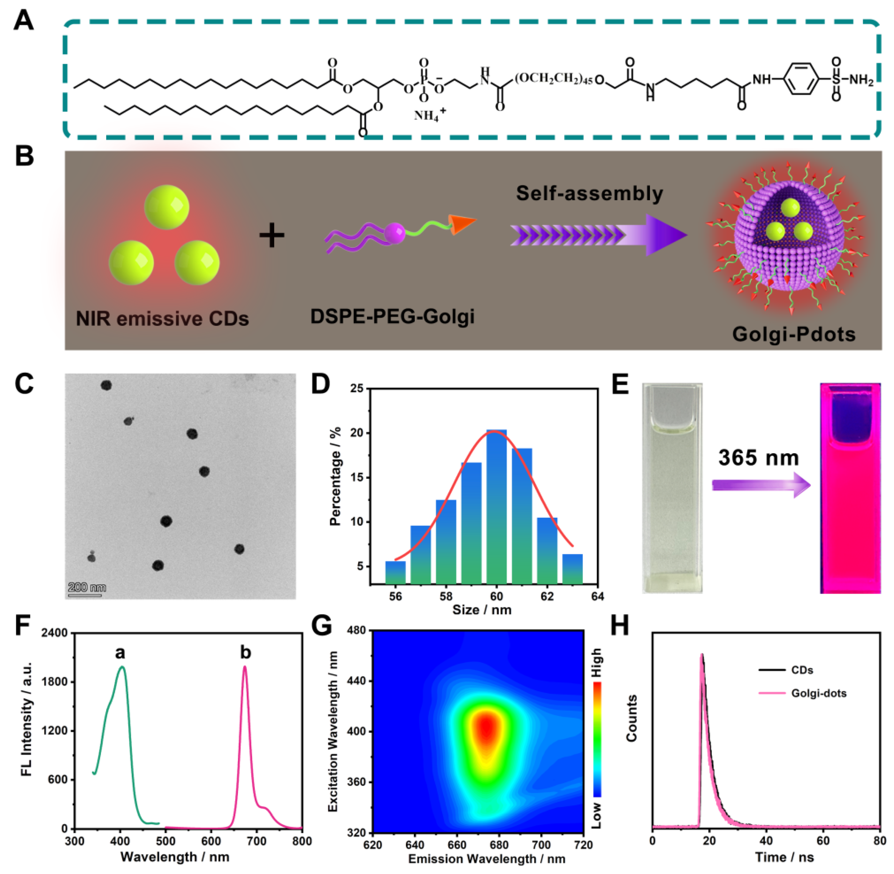 Molecules 28 06366 g003
