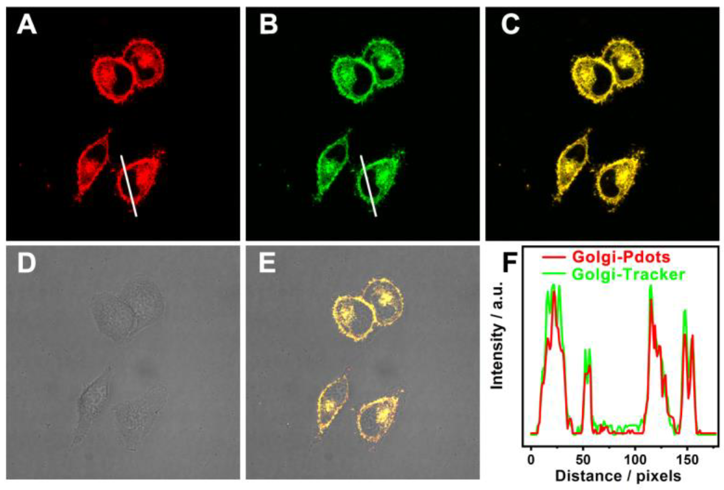 Molecules 28 06366 g006