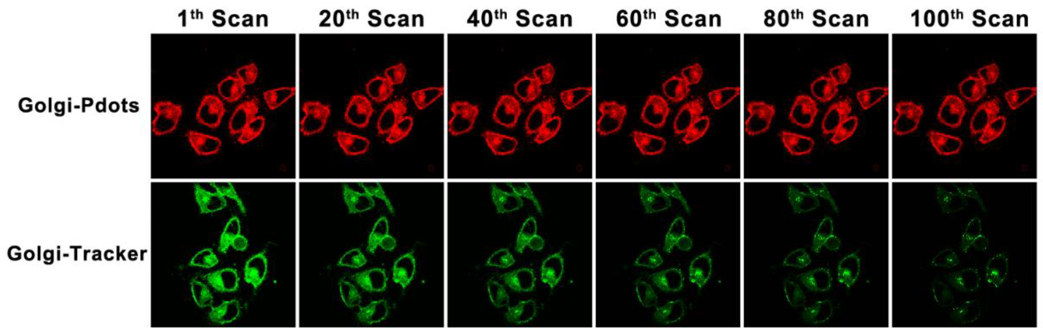 Molecules 28 06366 g007