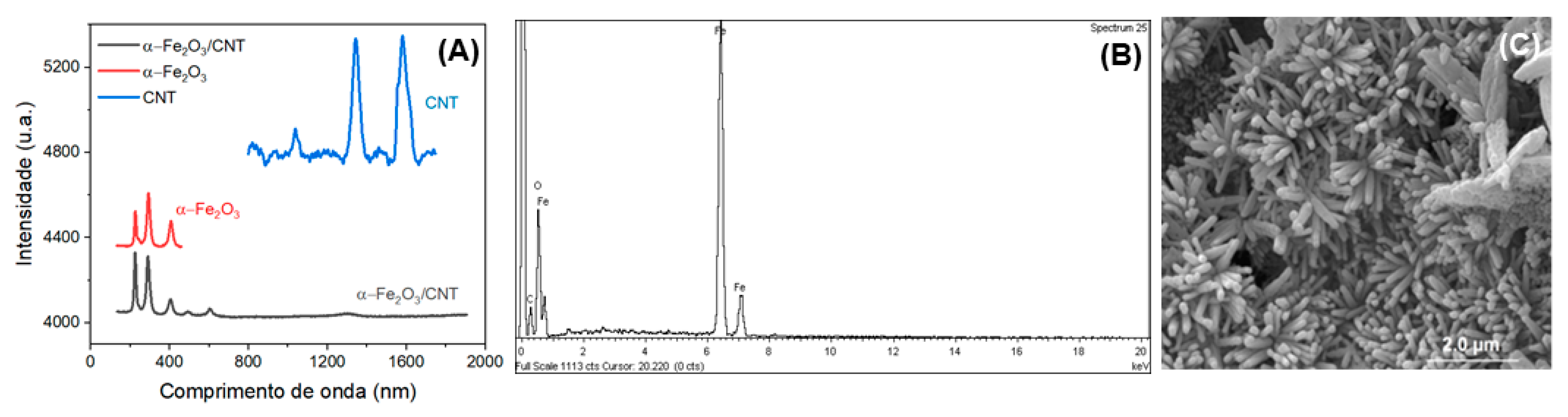 Molecules 28 06372 g001