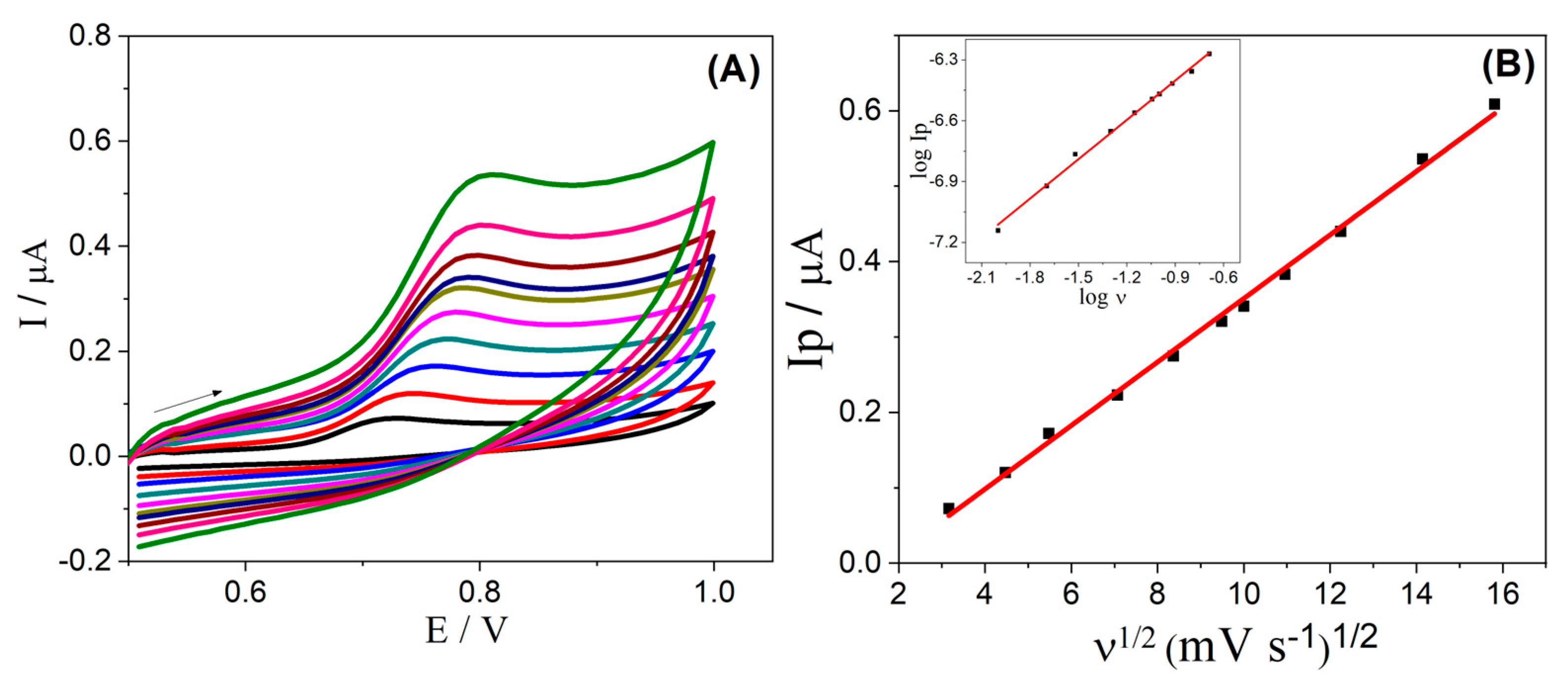 Molecules 28 06372 g003
