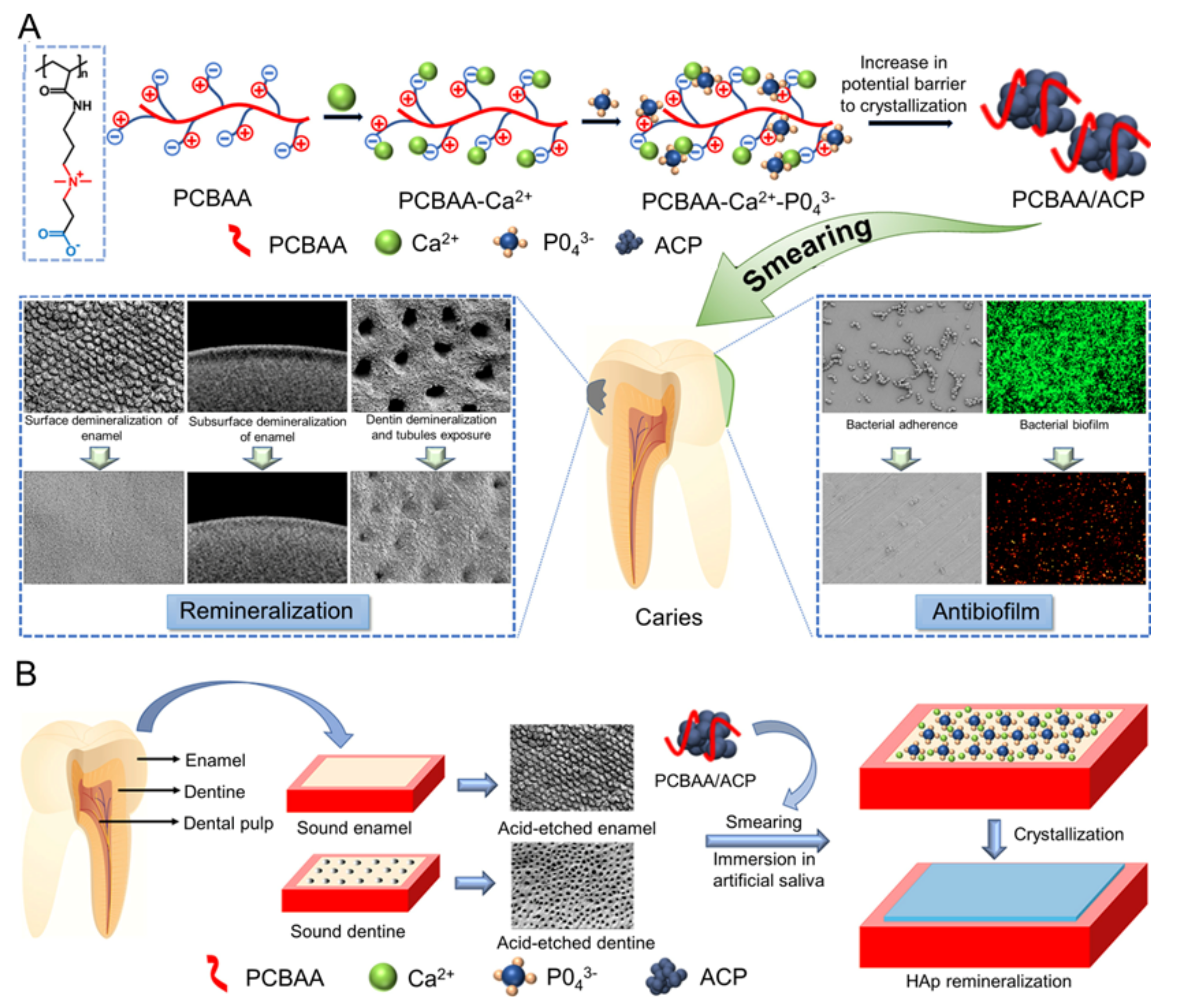 Molecules 28 06373 g001