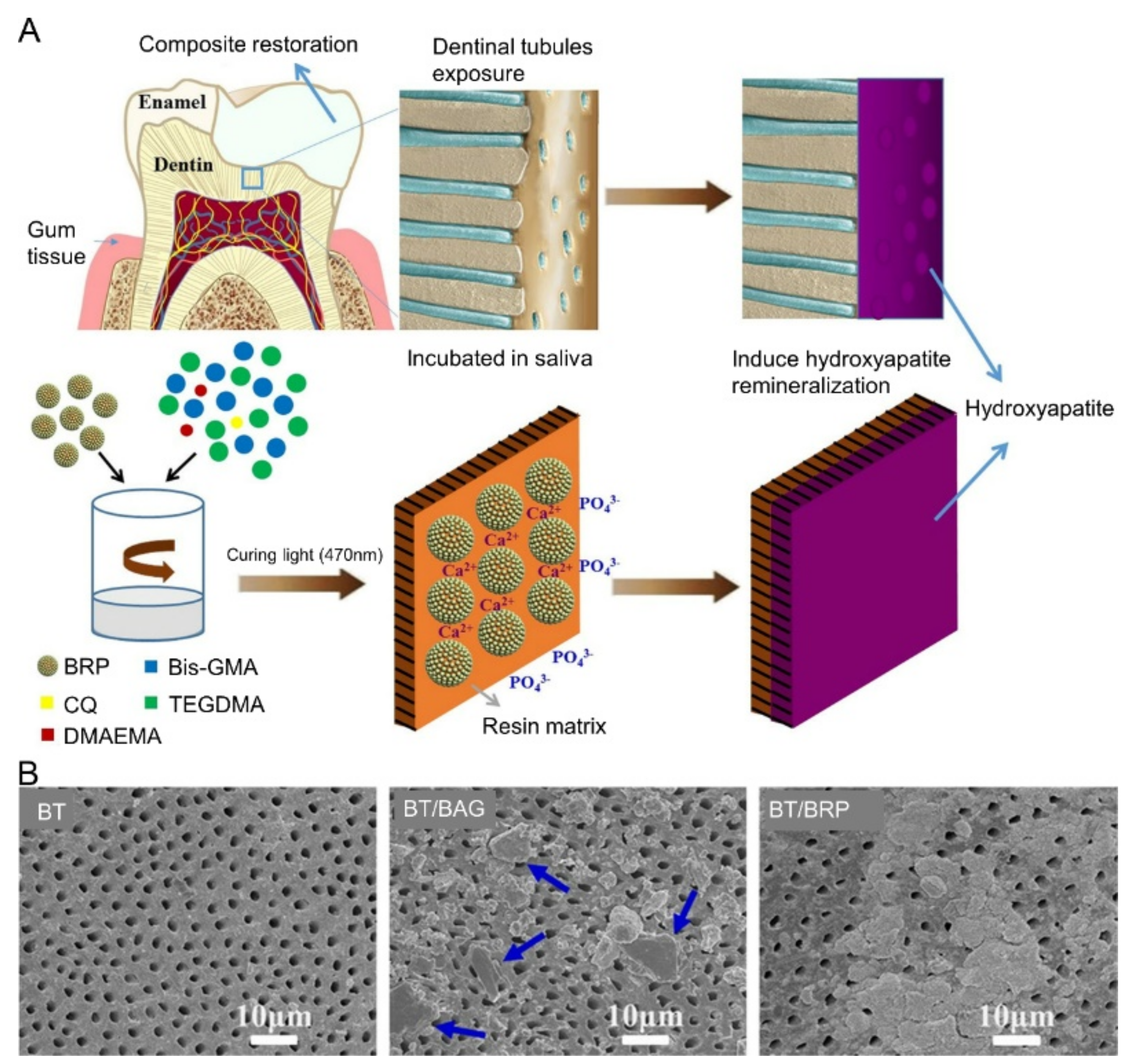 Molecules 28 06373 g003