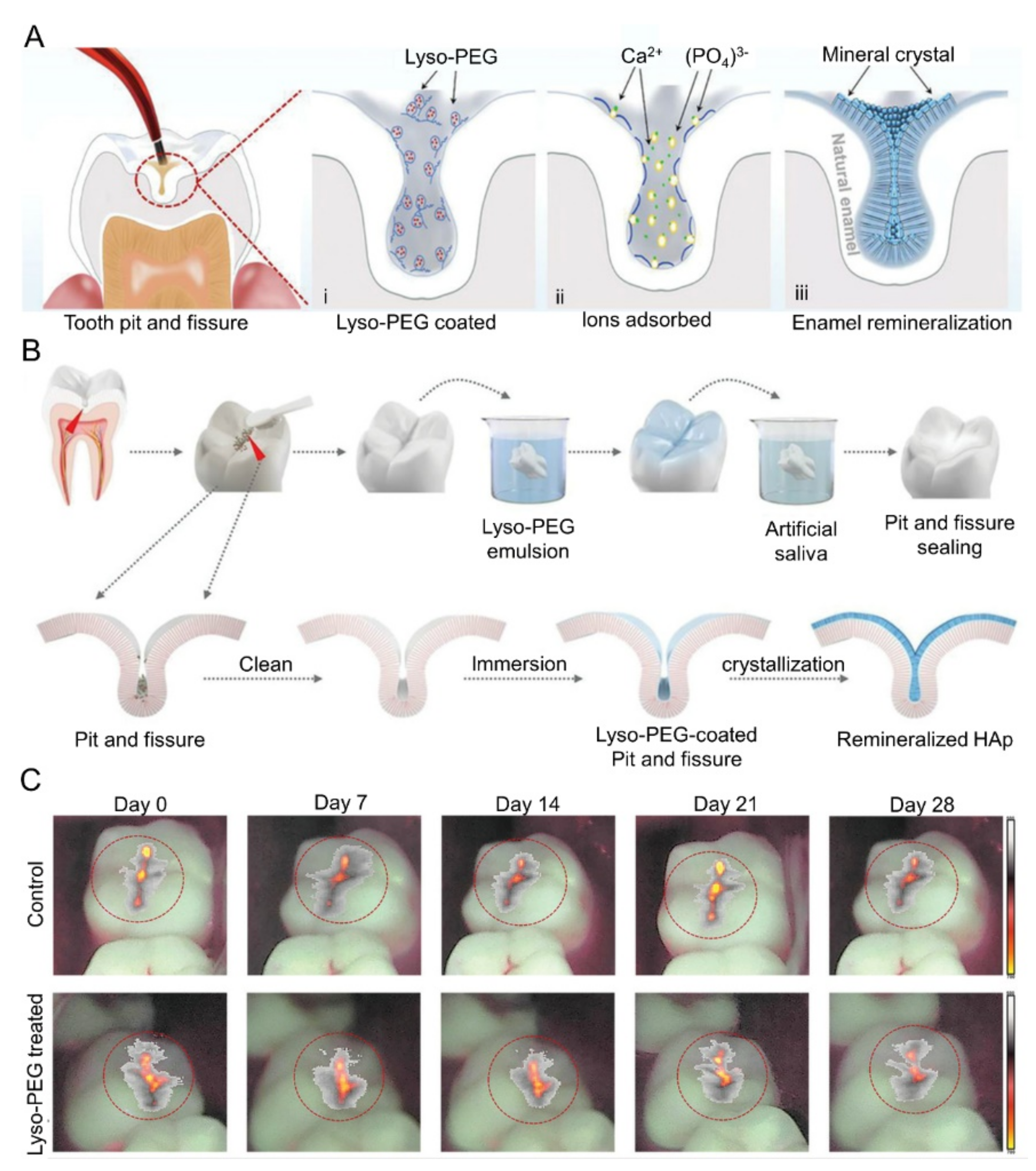 Molecules 28 06373 g004
