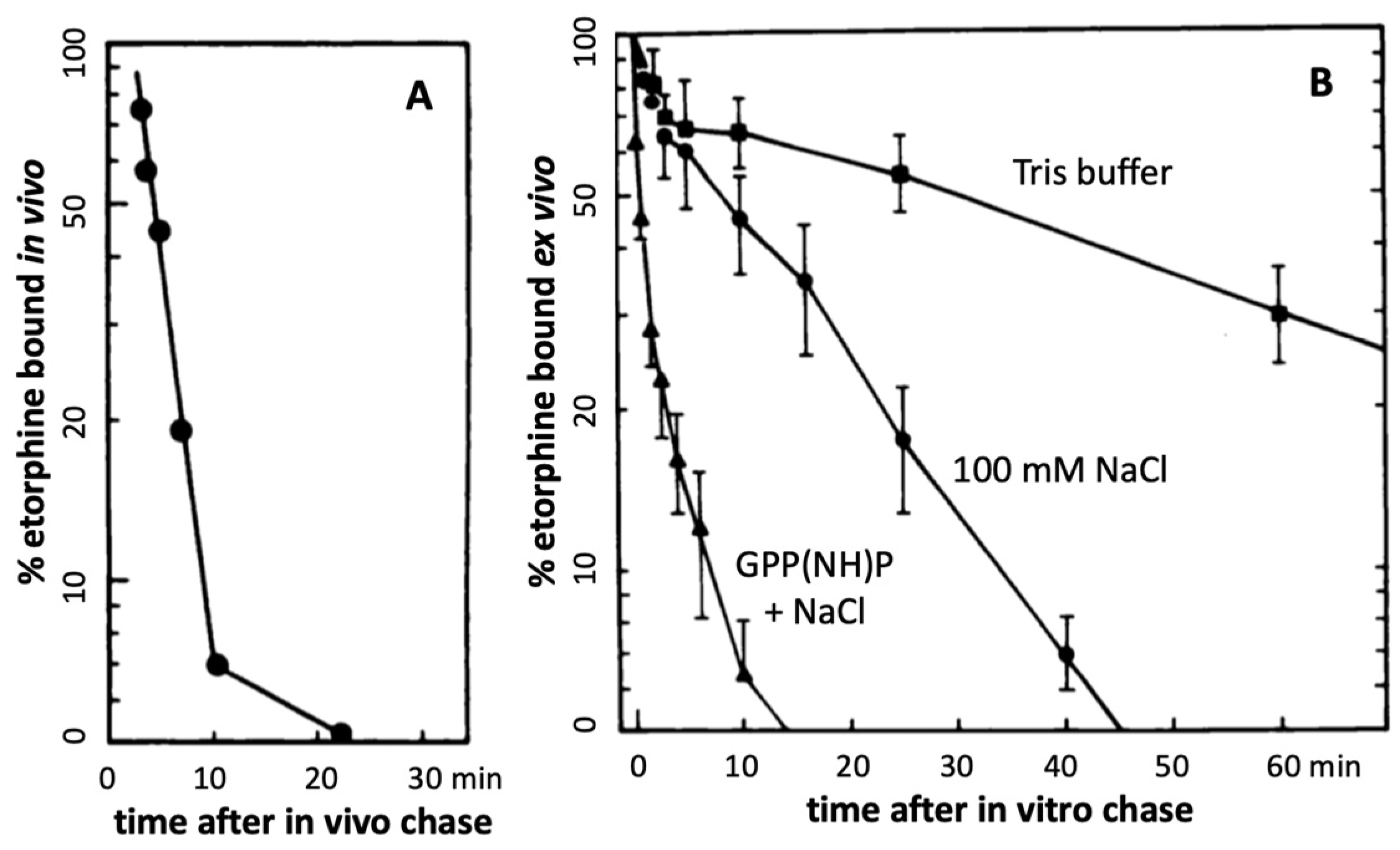 Molecules 28 06375 g002