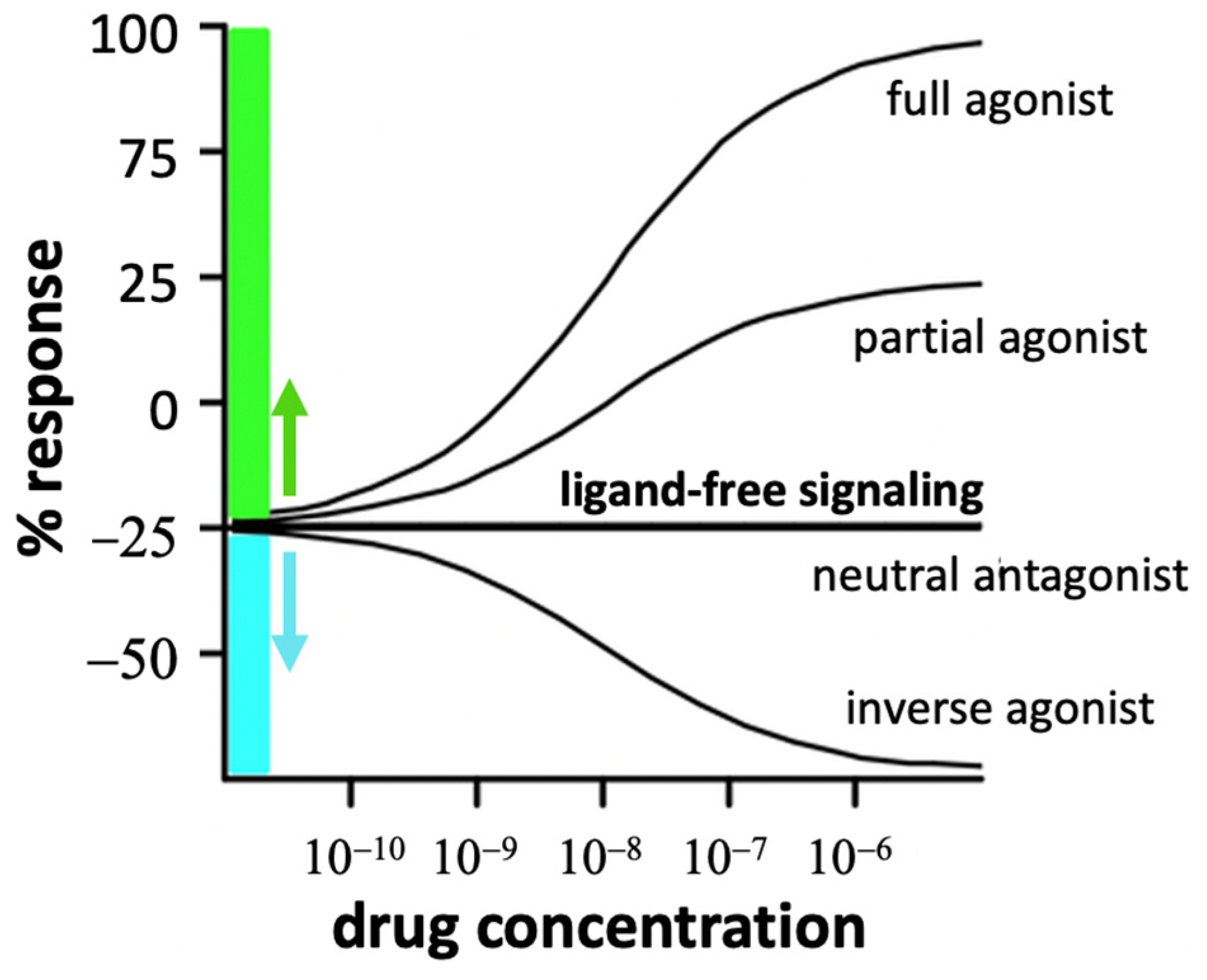 Molecules 28 06375 g004