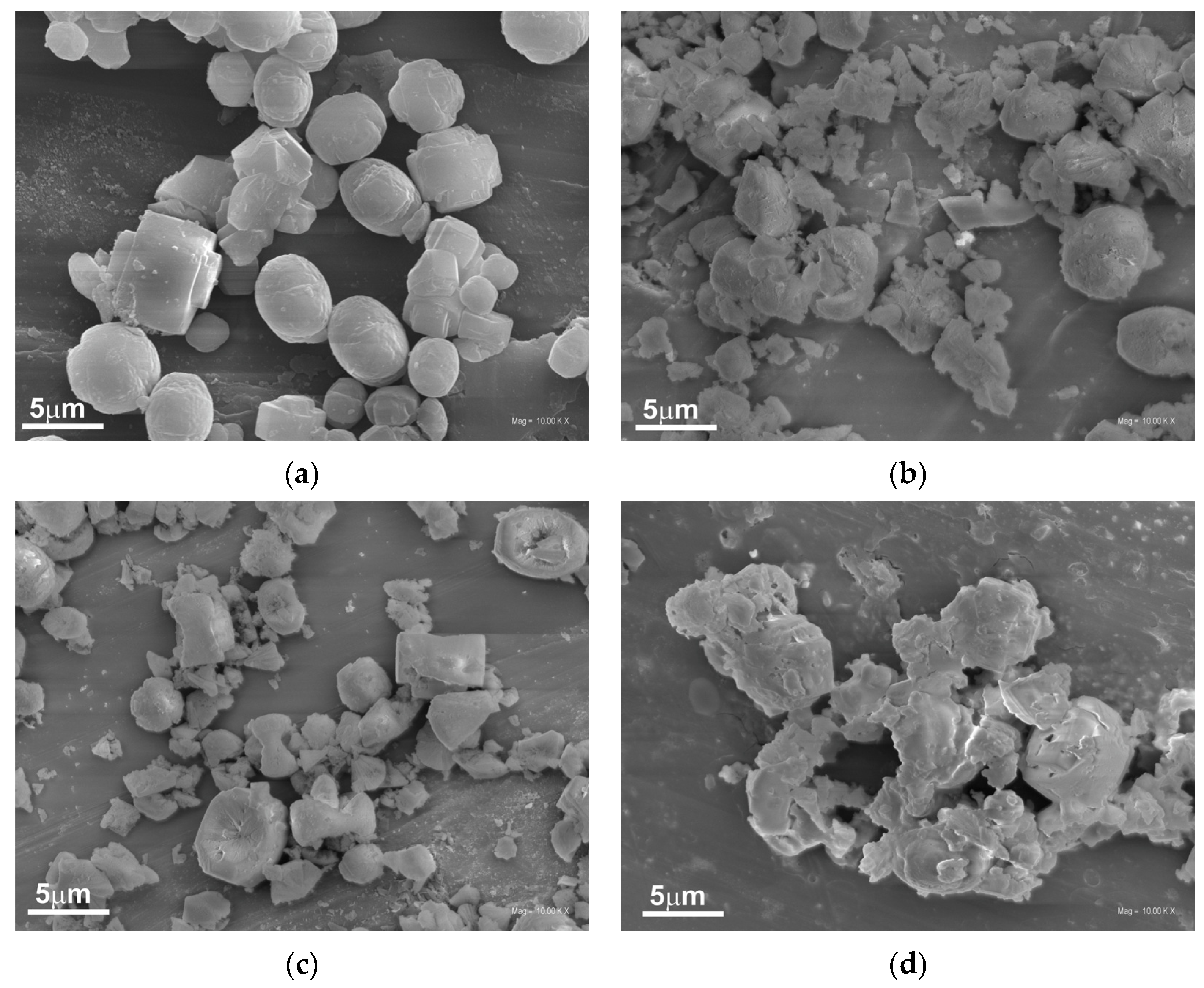 Molecules 28 06376 g004