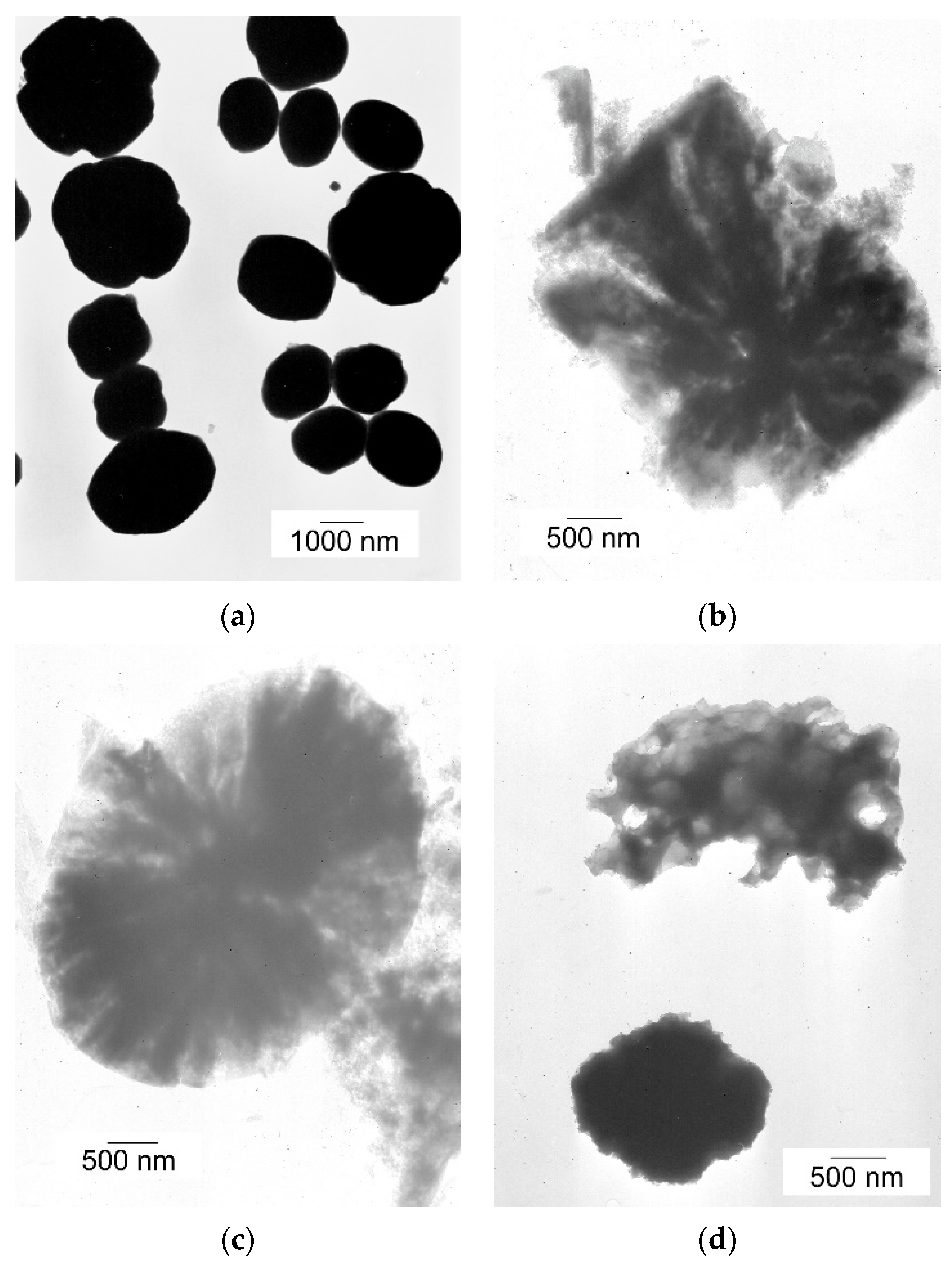Molecules 28 06376 g005