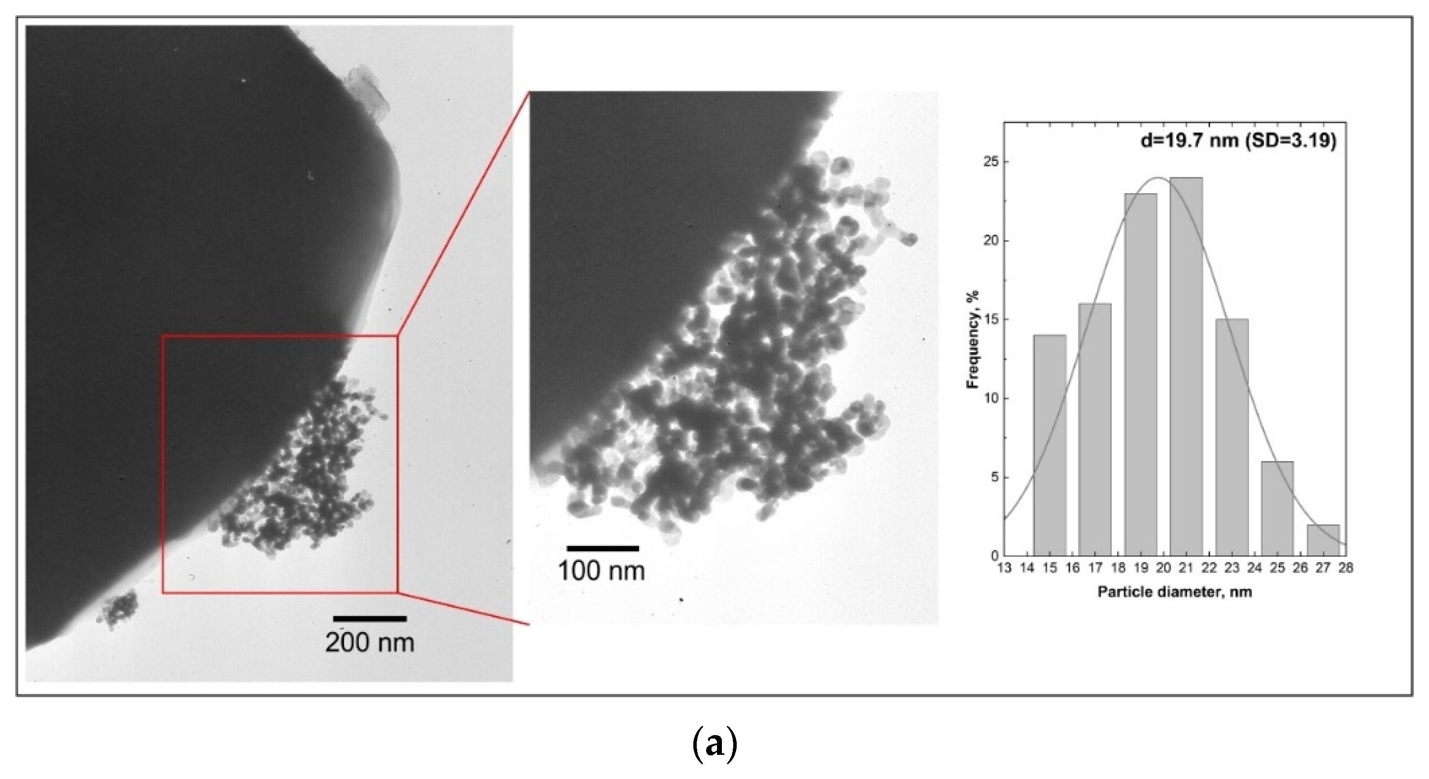 Molecules 28 06376 g009a