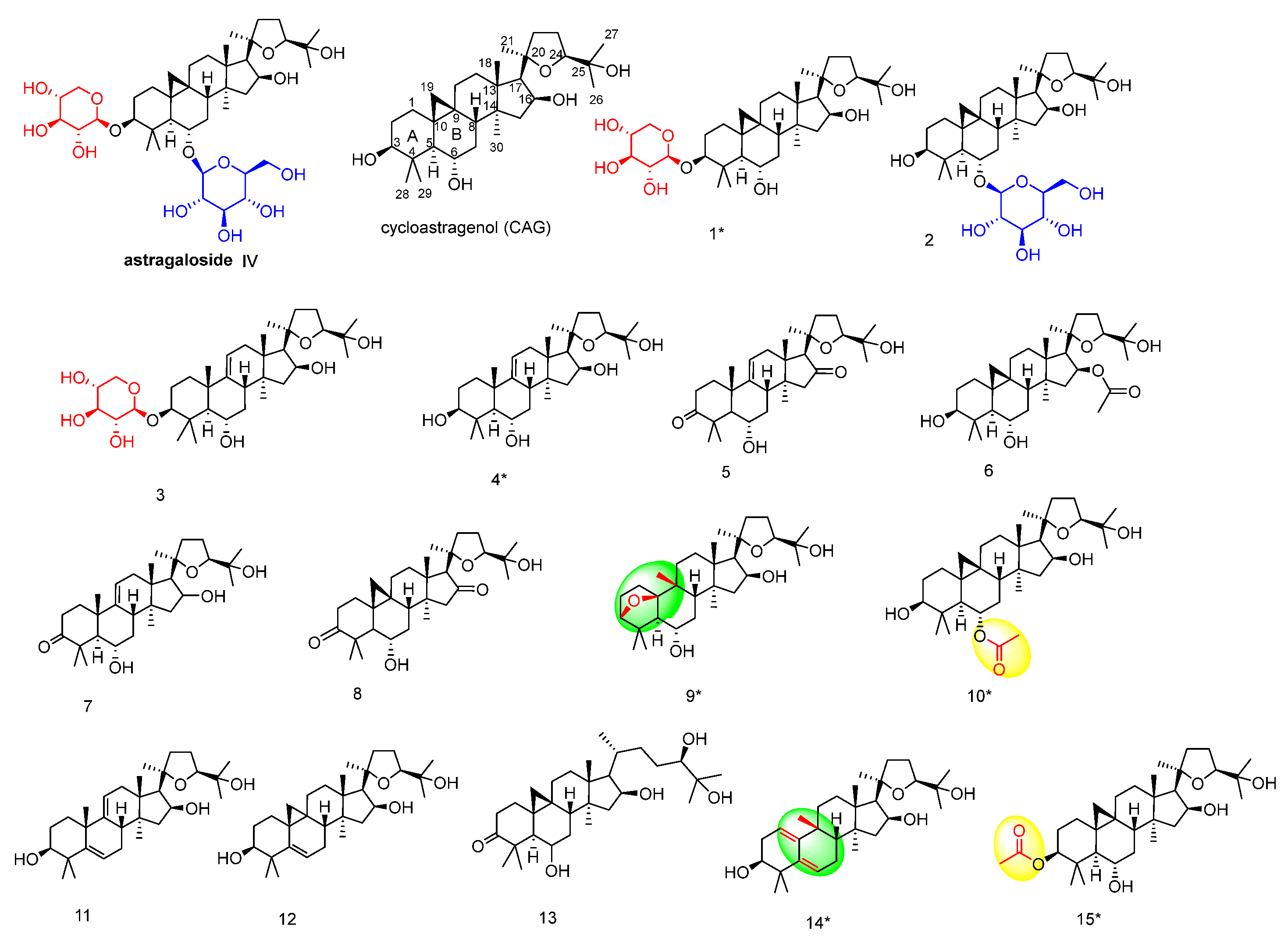 Molecules 28 06382 g001