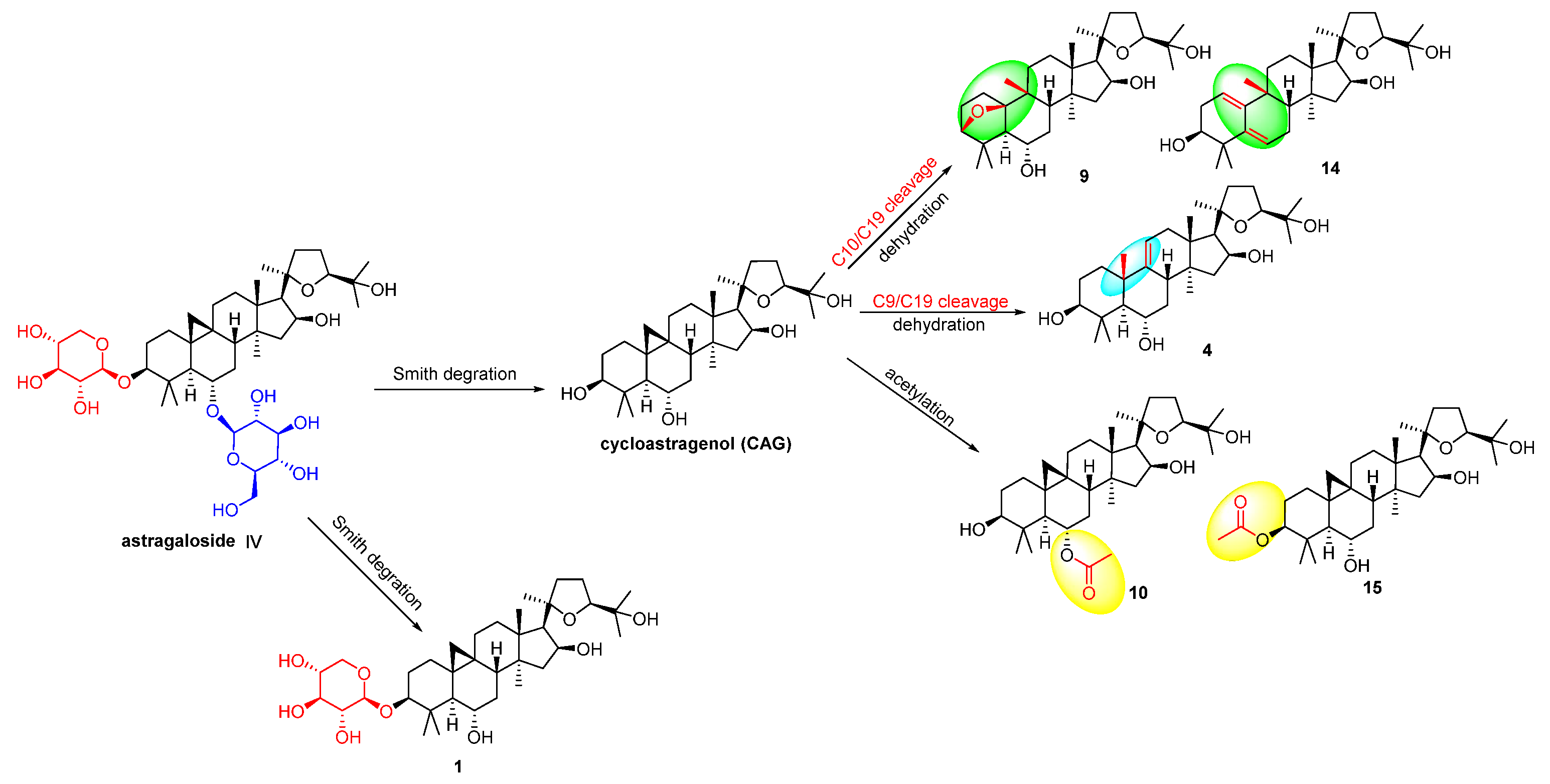 Molecules 28 06382 sch001