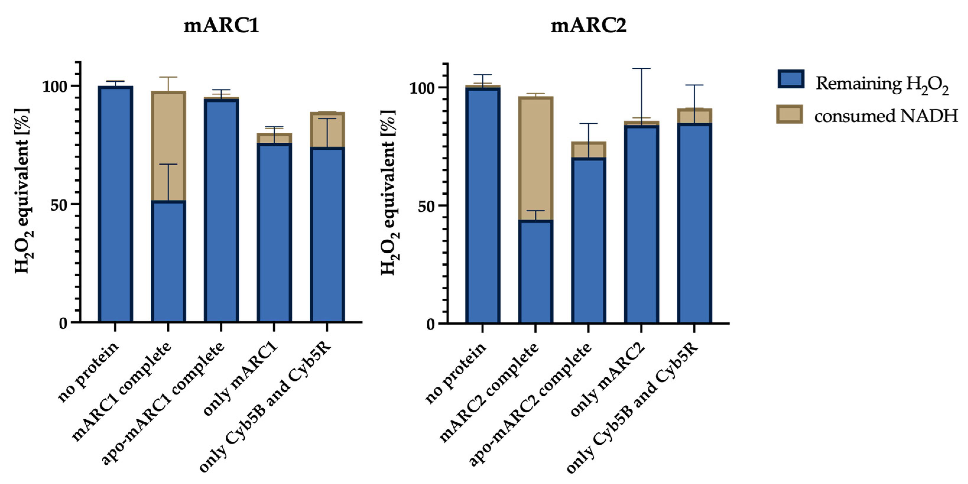 Molecules 28 06384 g001