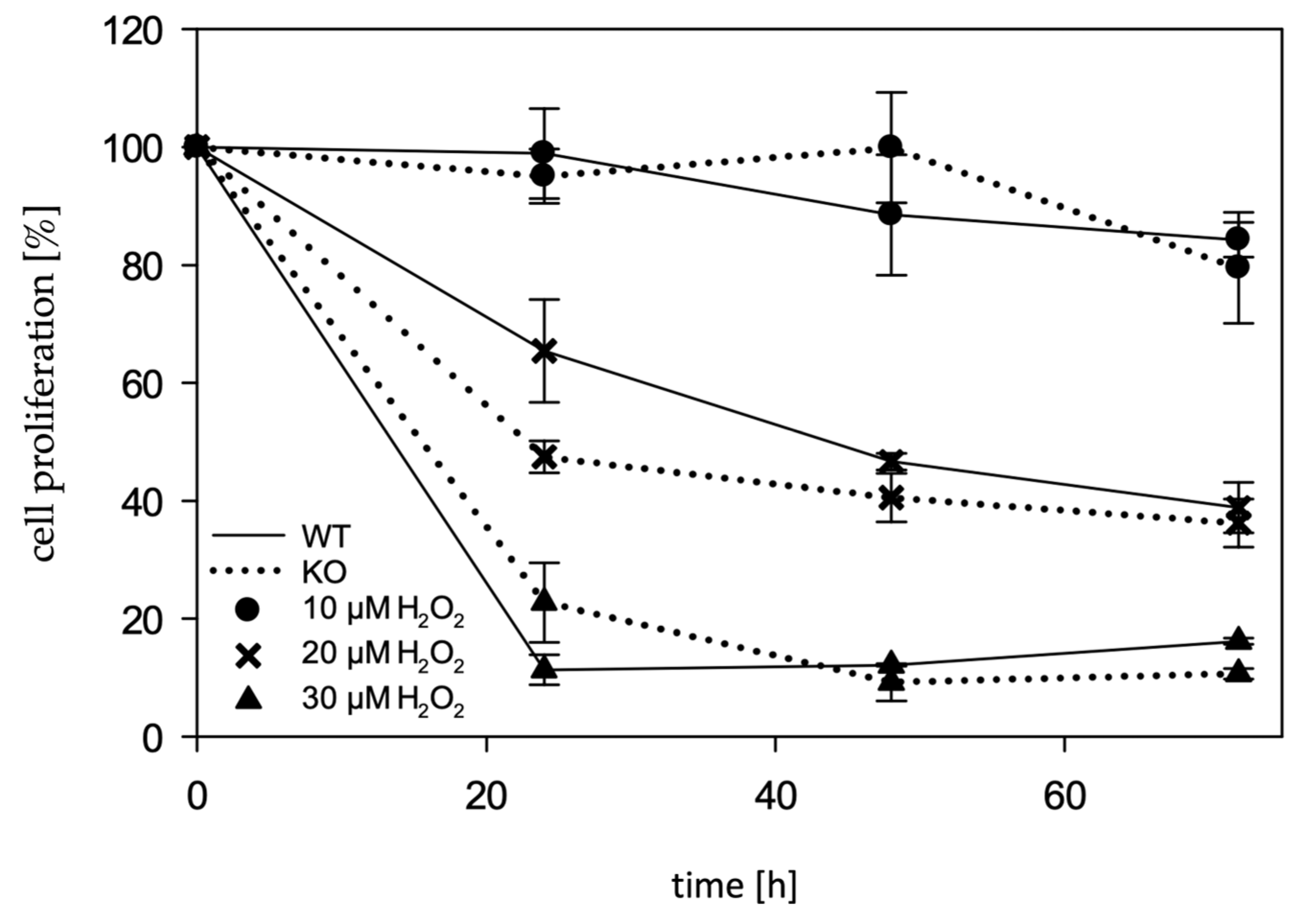 Molecules 28 06384 g006