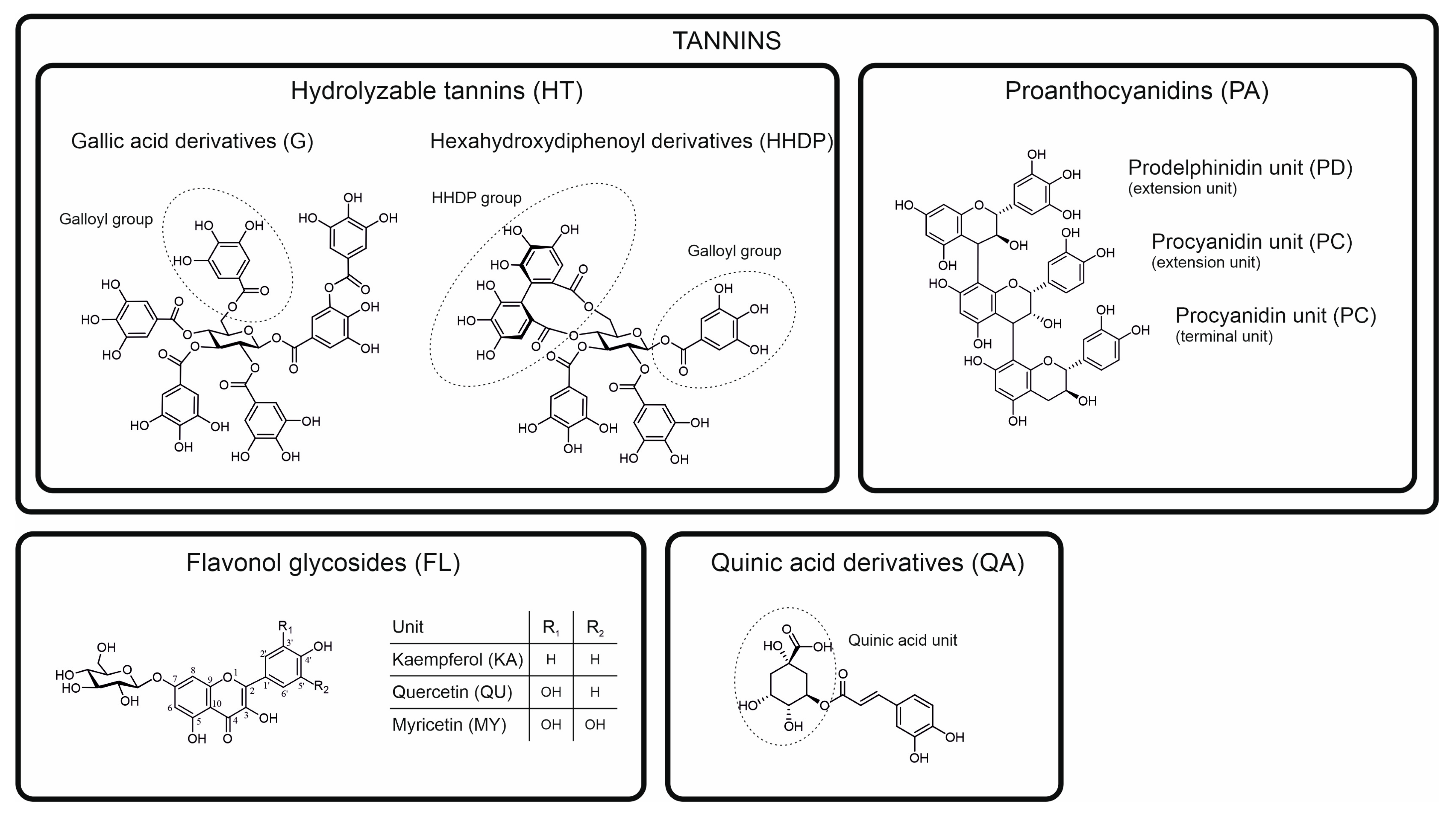 Molecules 28 06388 g001 Molecules 28 06388 g001
