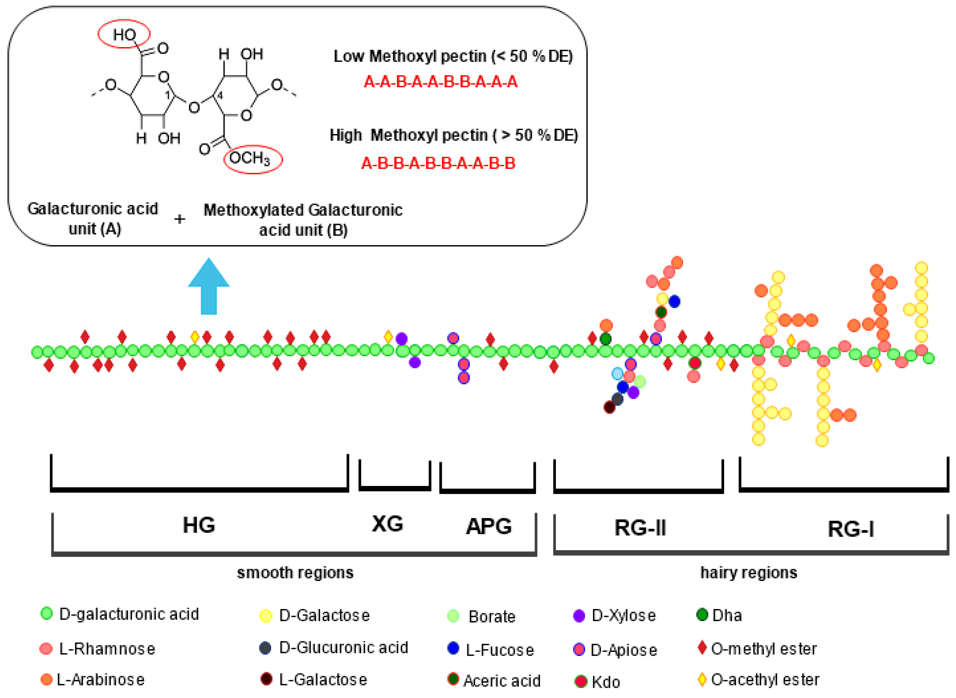 Molecules 28 06390 g001