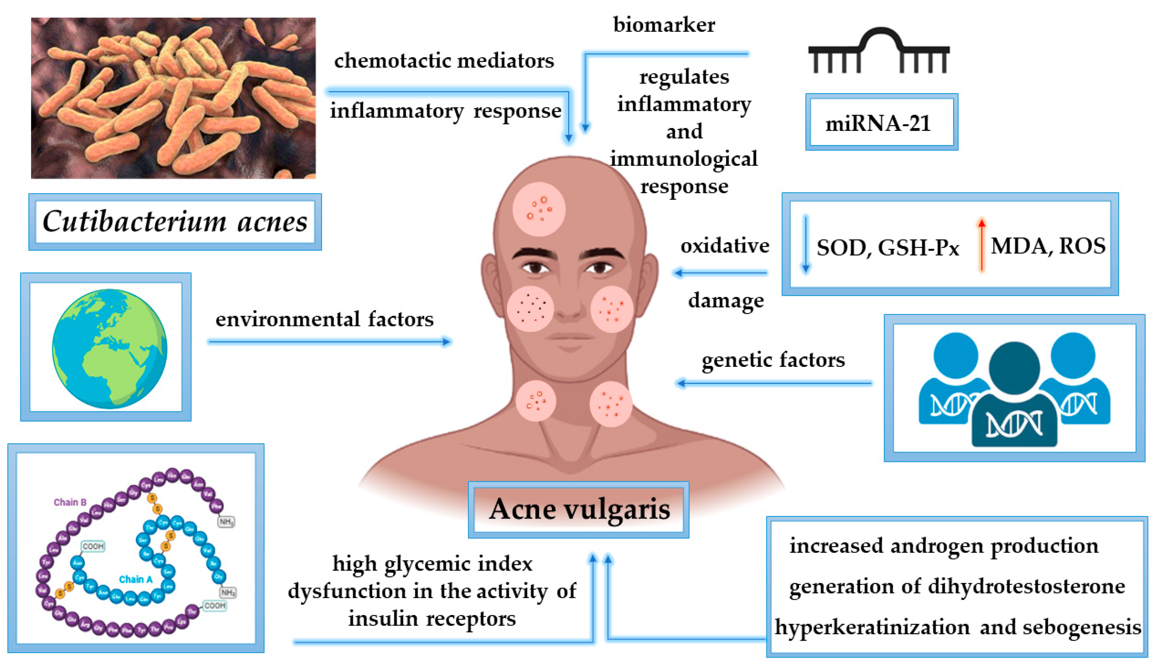 Molecules 28 06395 g002