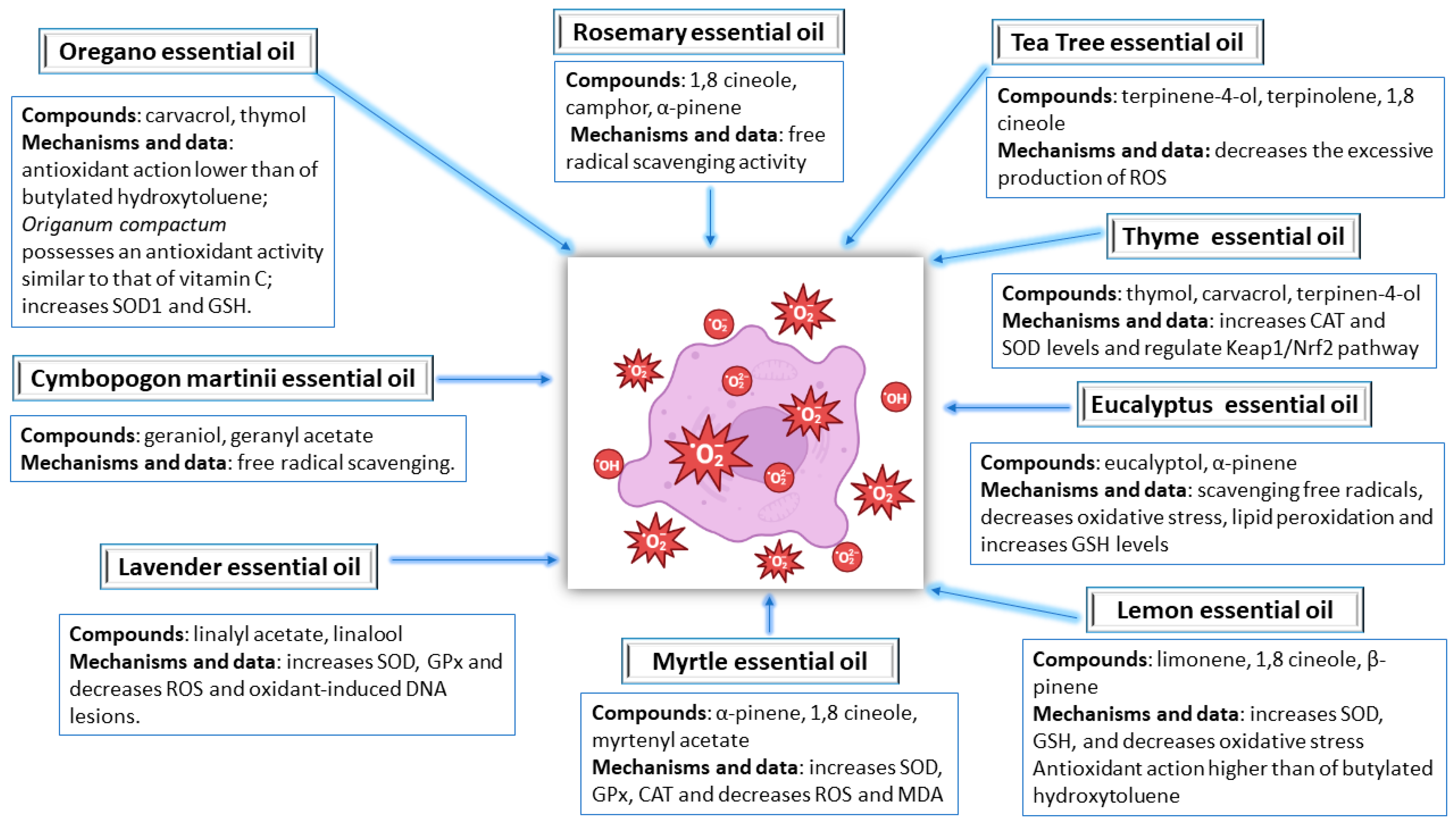 Molecules 28 06395 g004