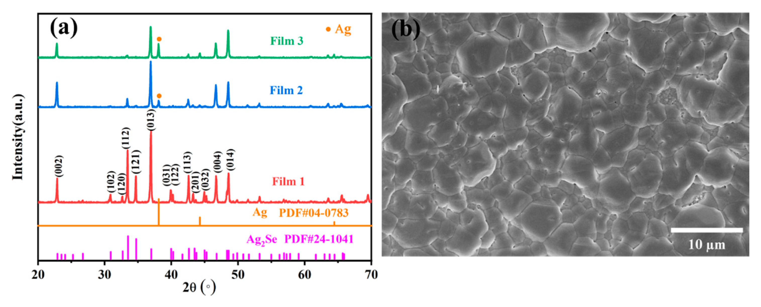 Molecules 28 06397 g001