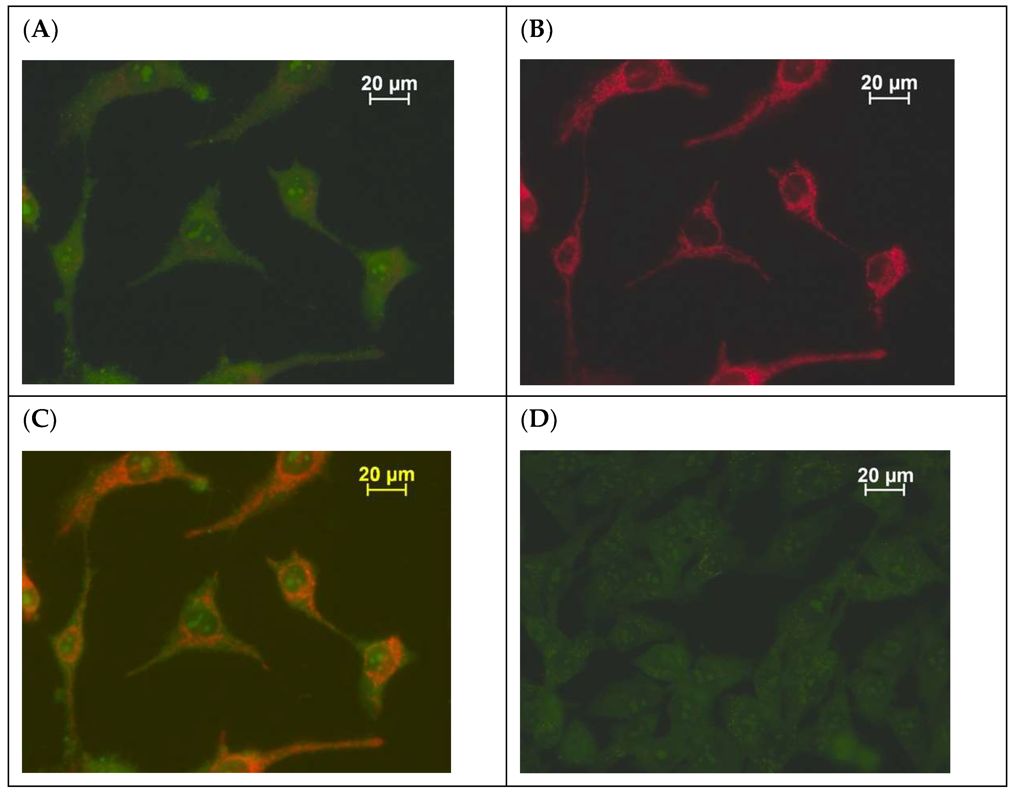 Molecules 28 06404 g003