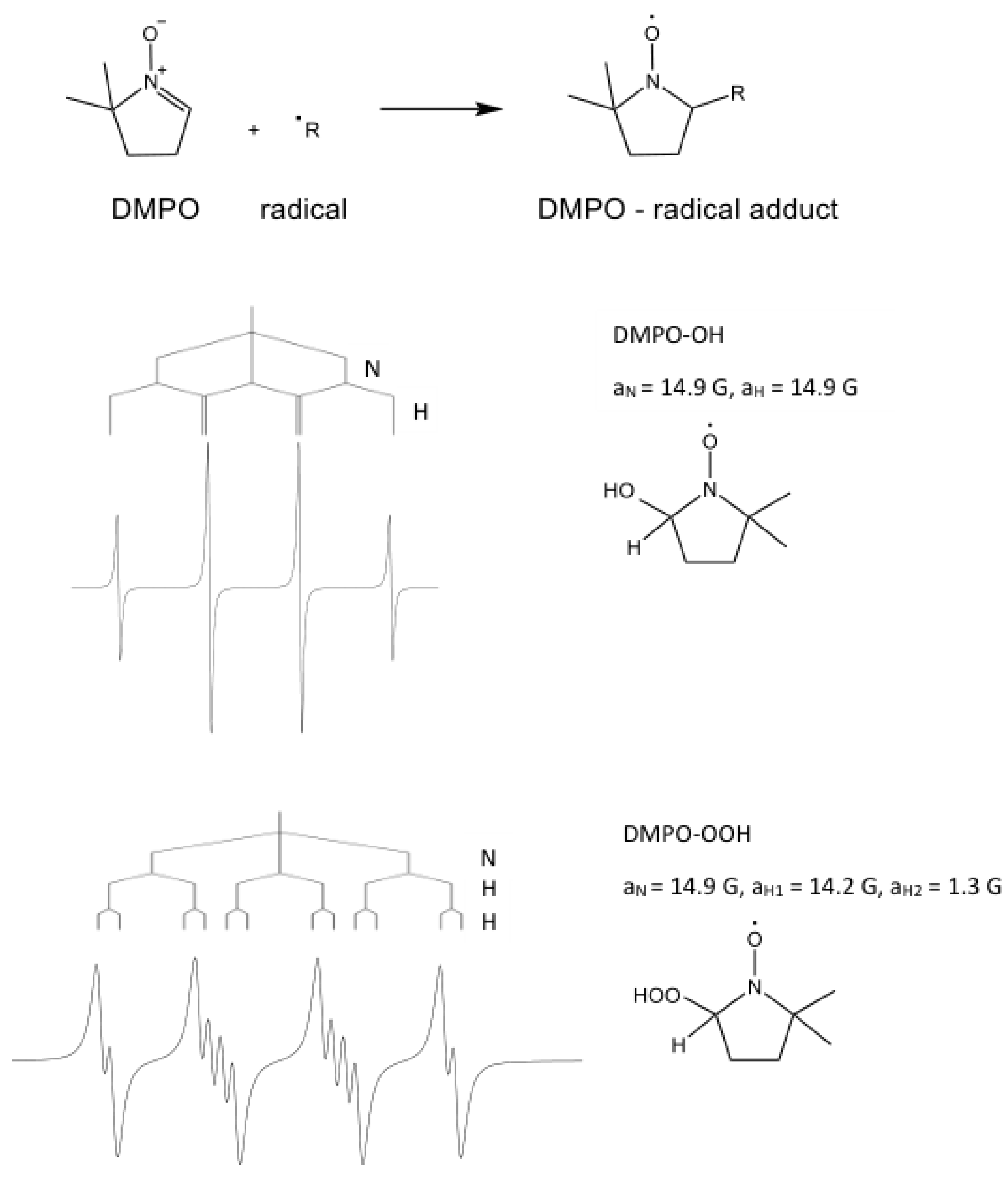 Molecules 28 06417 g003