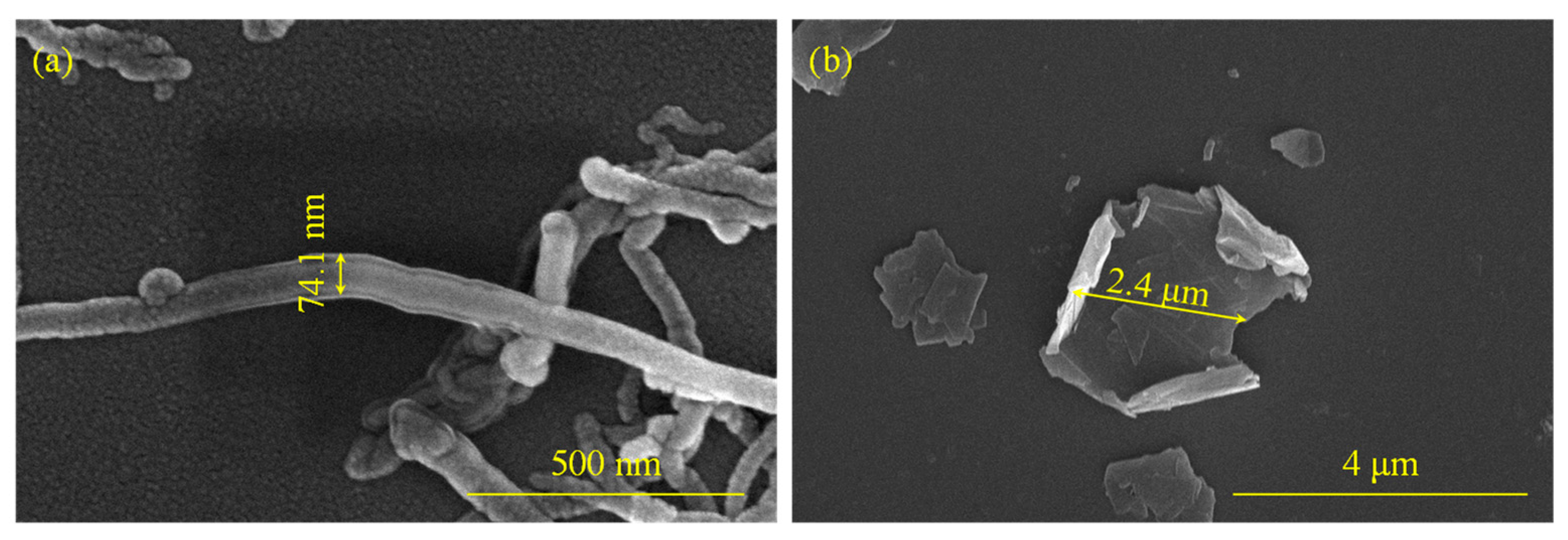 Molecules 28 06419 g001