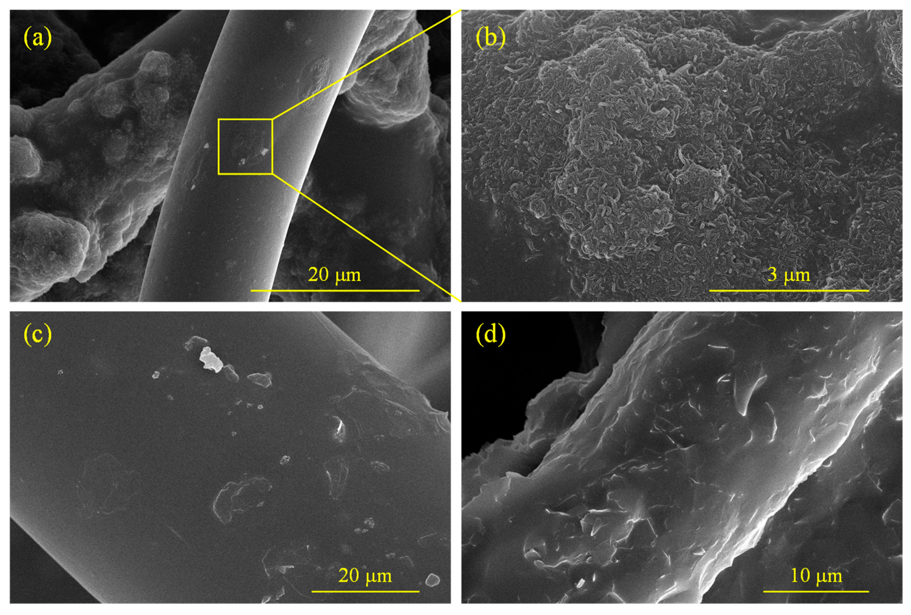 Molecules 28 06419 g002