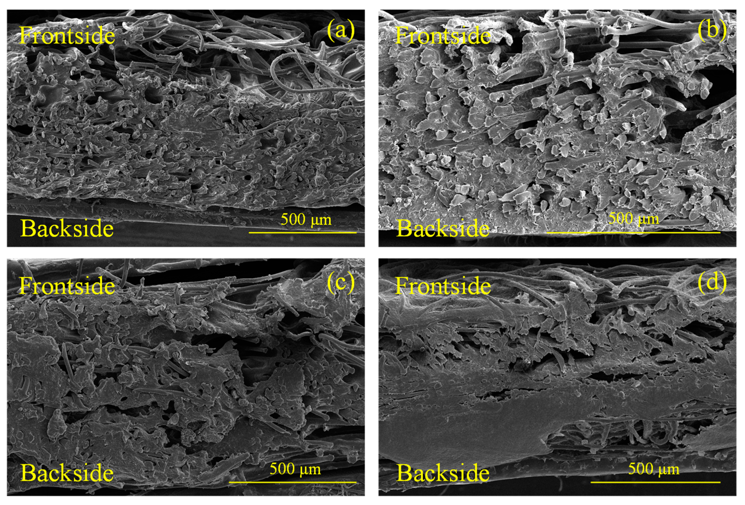 Molecules 28 06419 g004