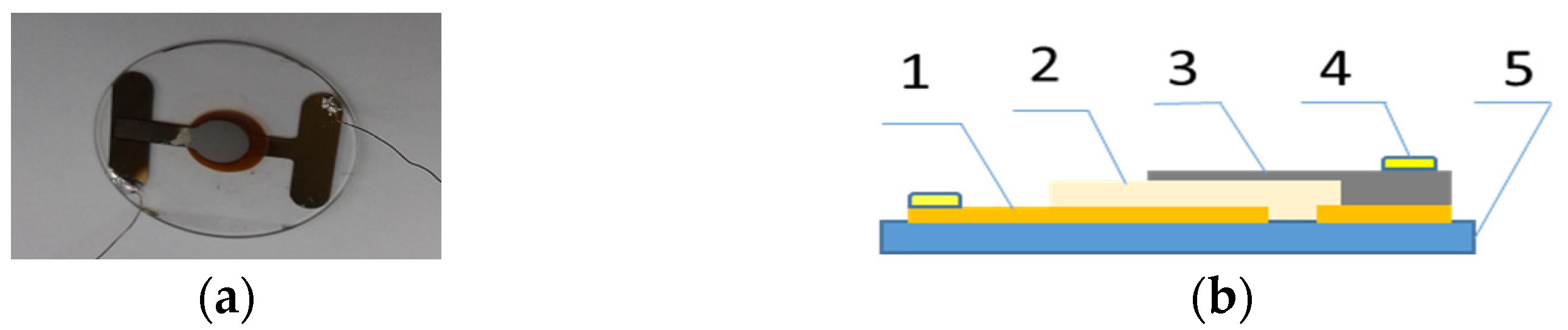 Molecules 28 06422 g009