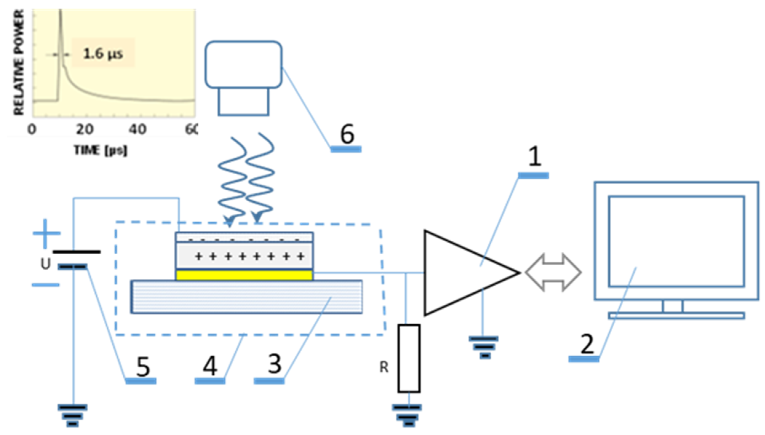 Molecules 28 06422 g011