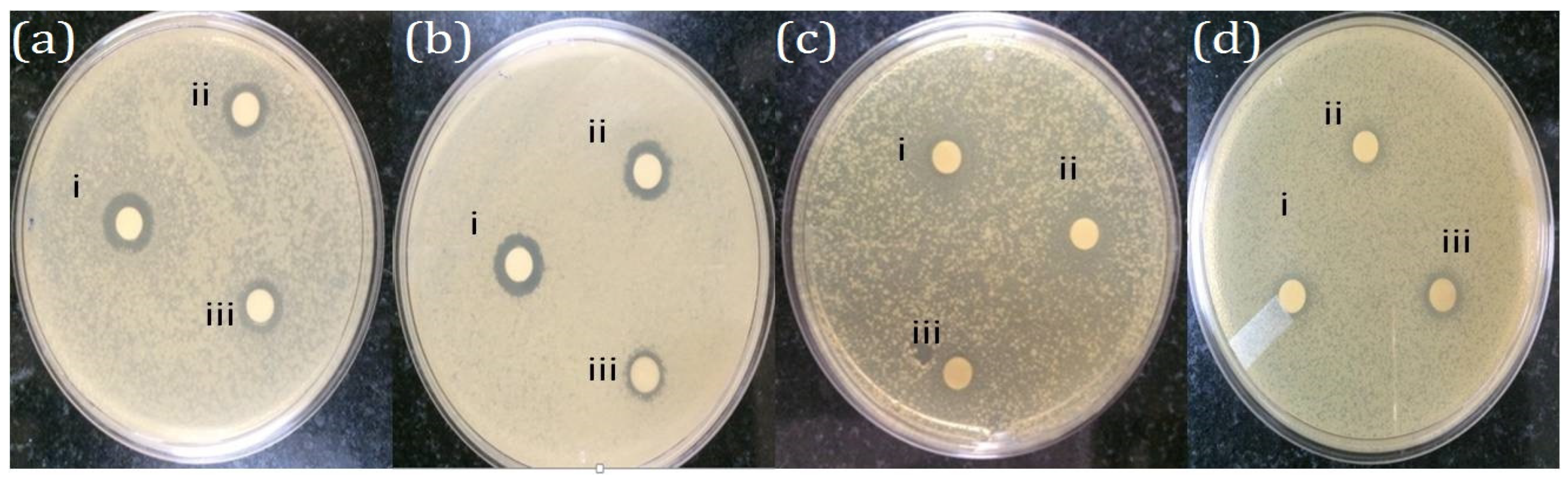 Molecules 28 06431 g007