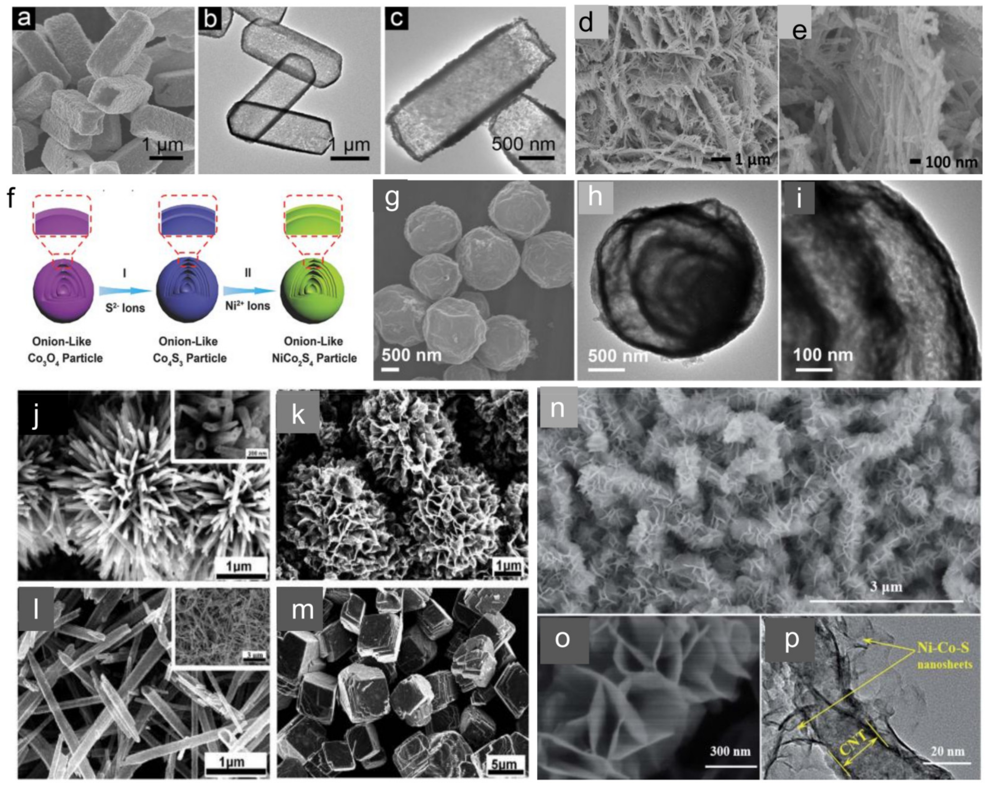 Molecules 28 06432 g003