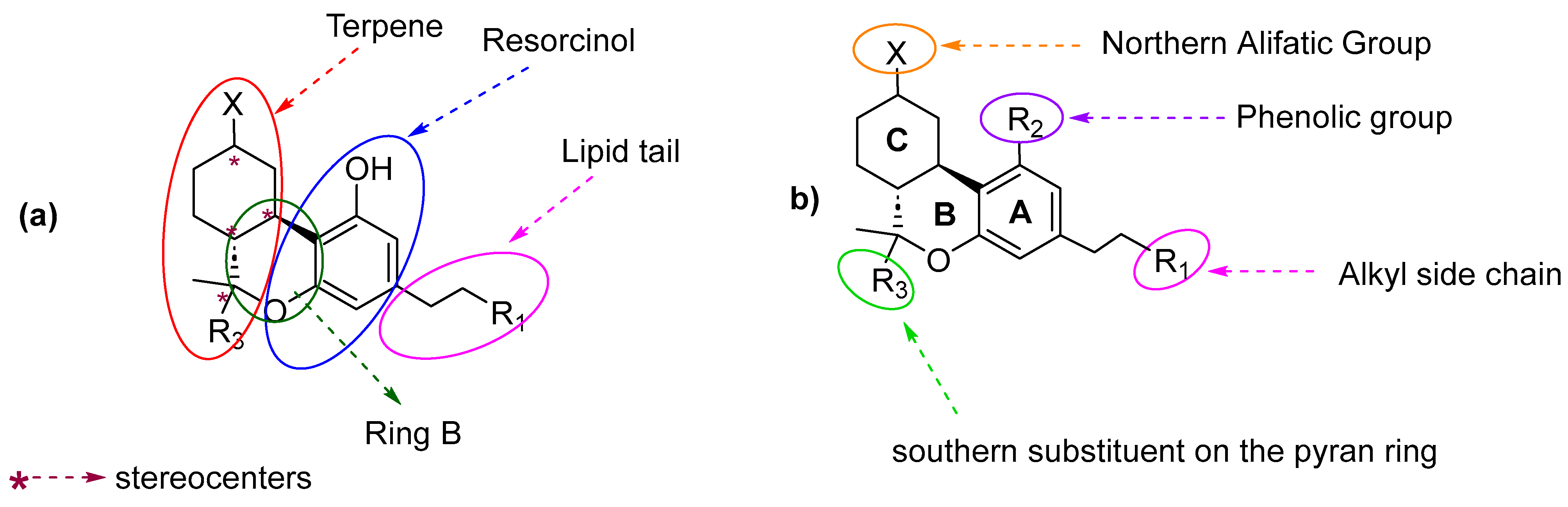 Molecules 28 06434 g005 Molecules 28 06434 g005