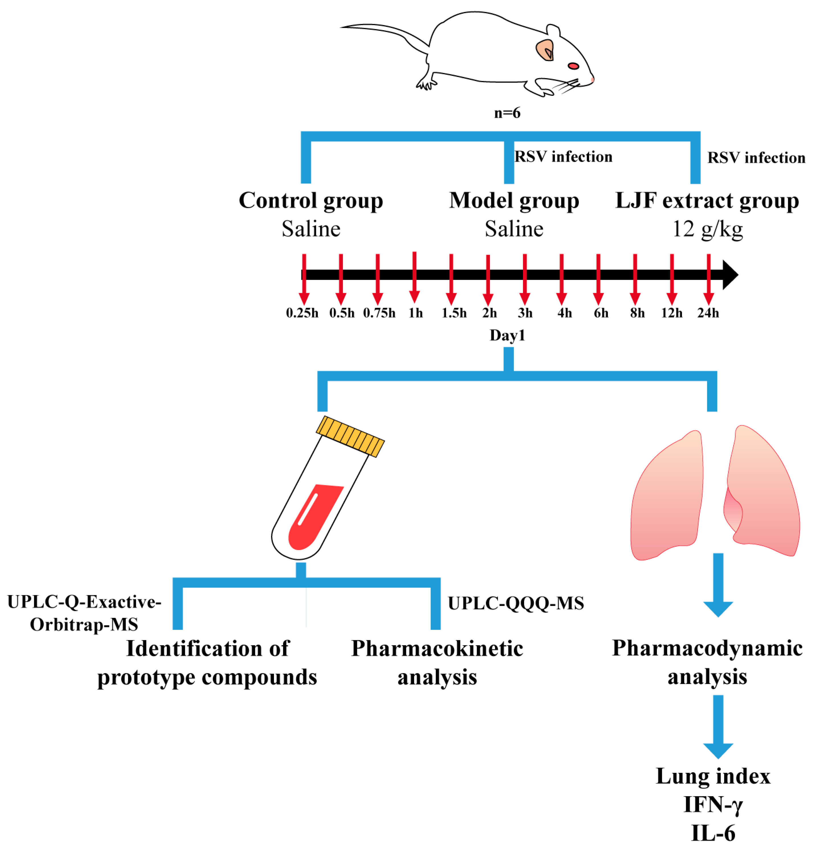 Molecules 28 06437 g005