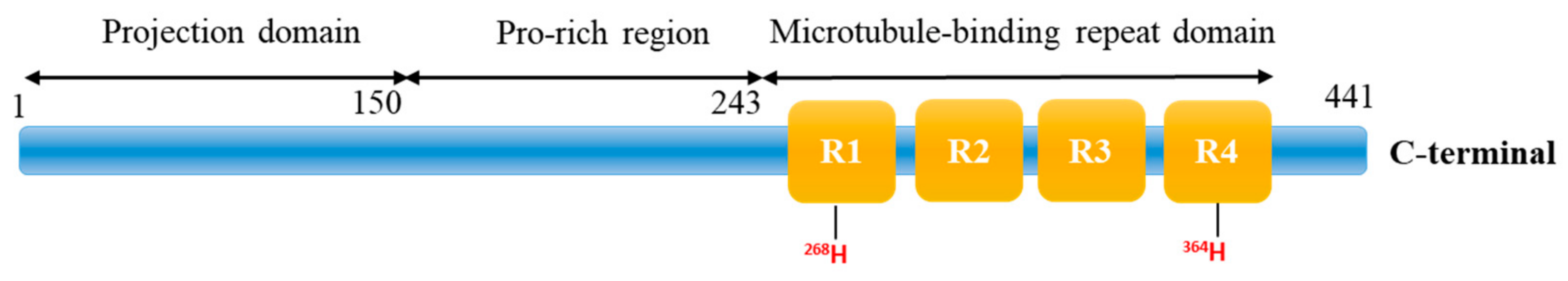 Molecules 28 06446 g004