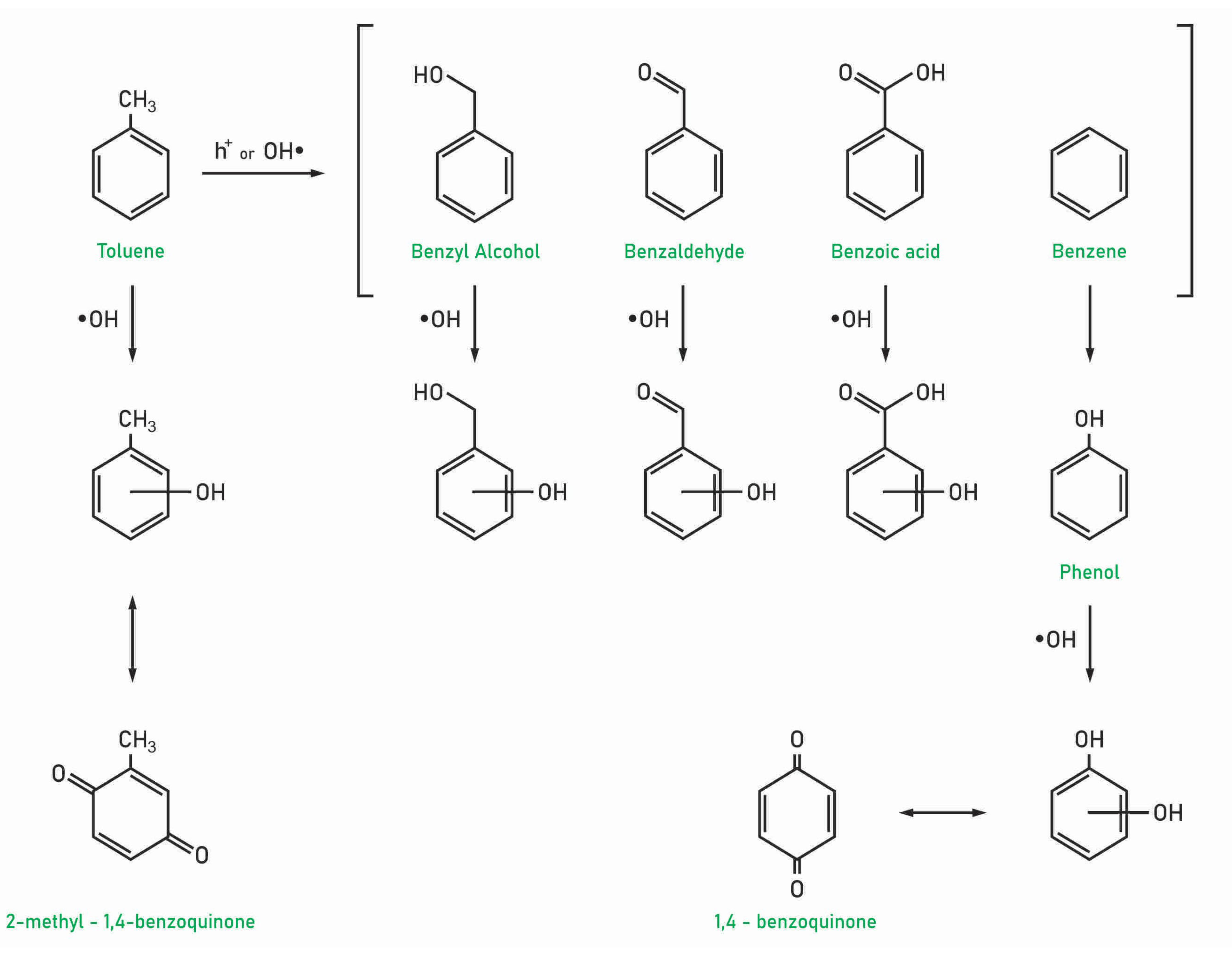 Molecules 28 06451 g004