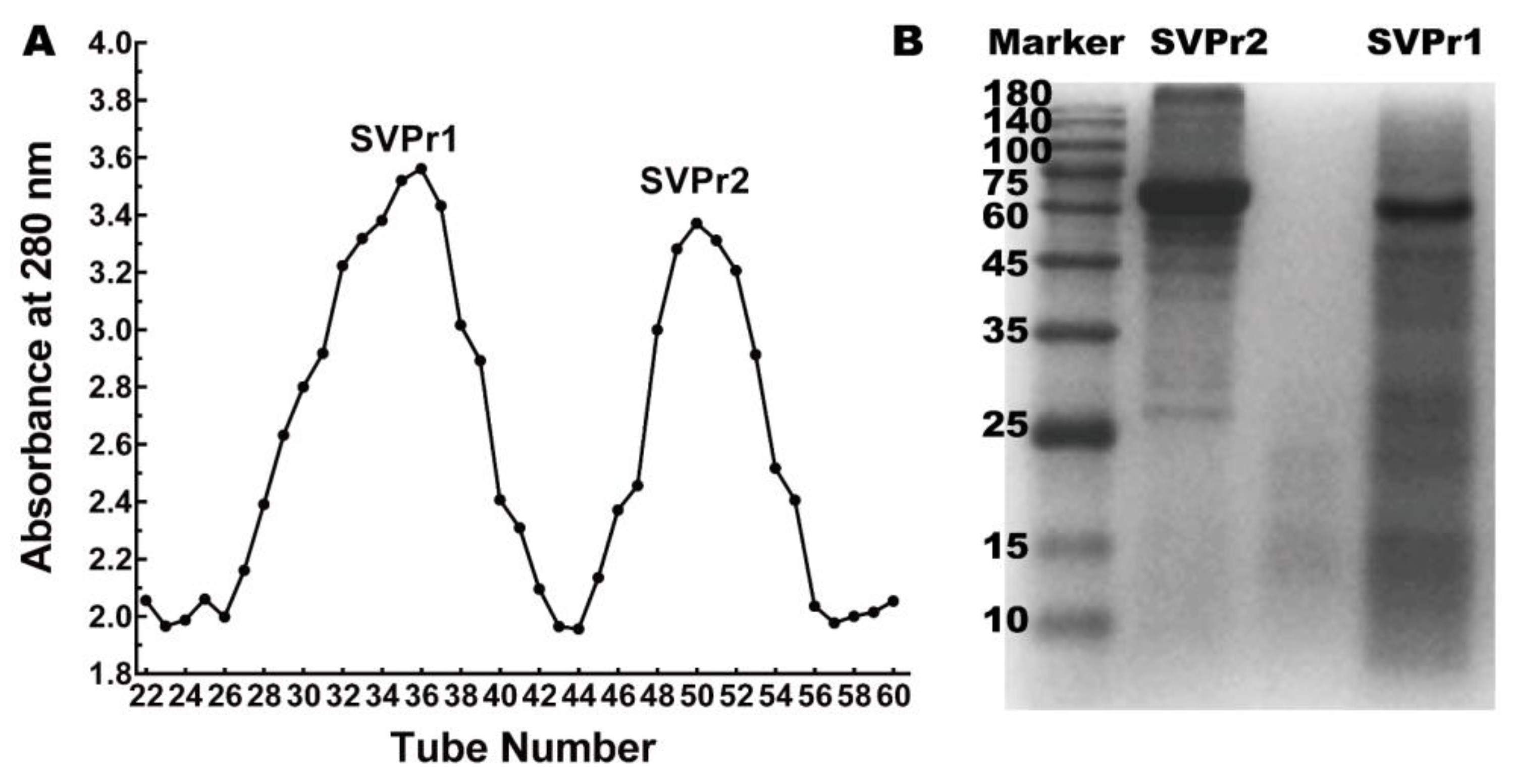 Molecules 28 06463 g001