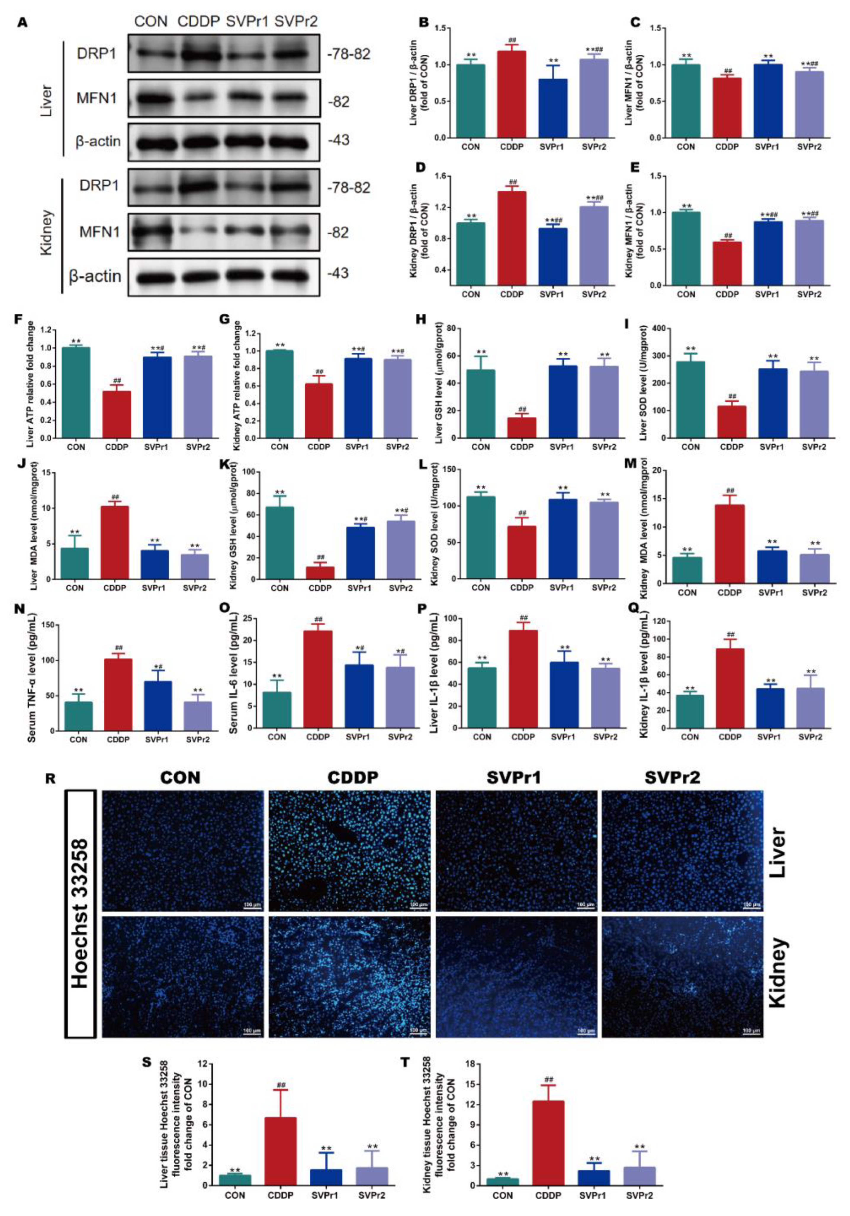 Molecules 28 06463 g003