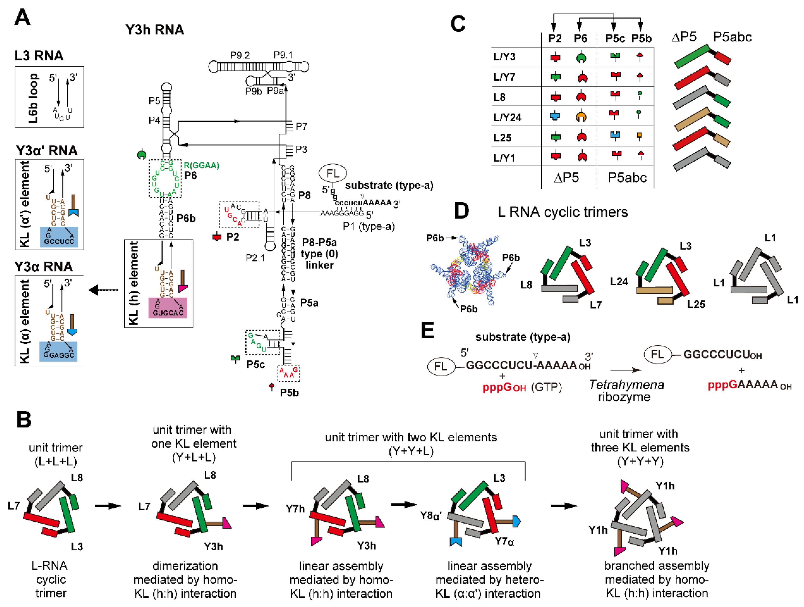 Molecules 28 06465 g001 Molecules 28 06465 g001