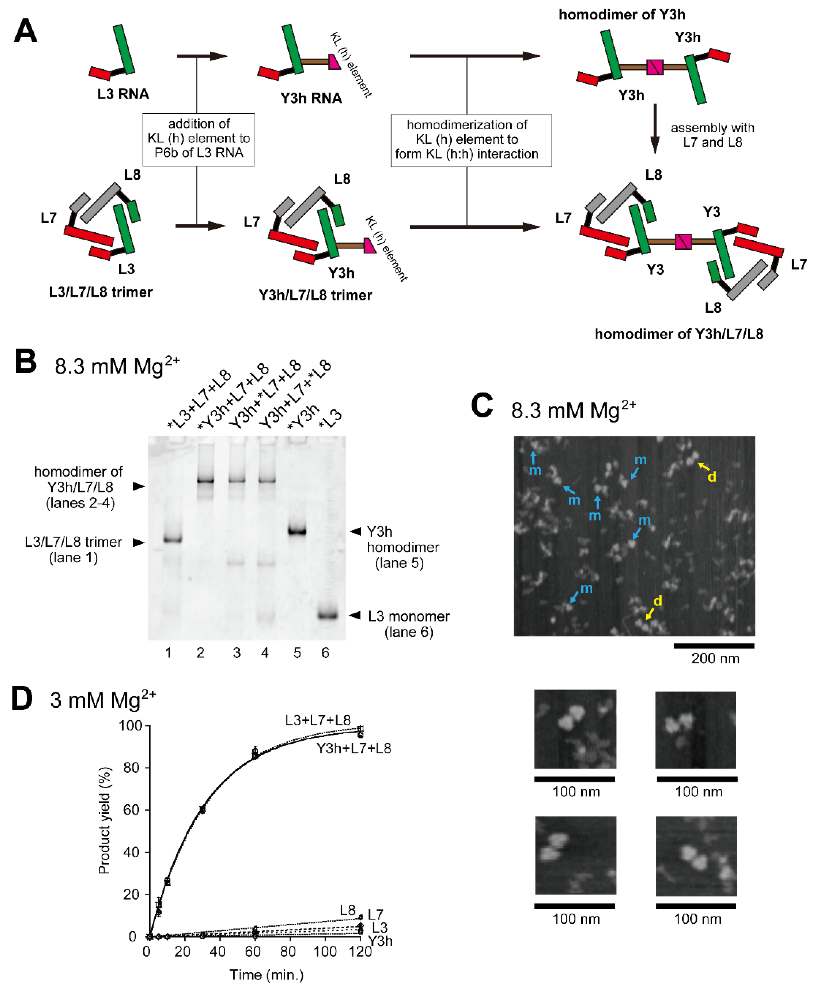 Molecules 28 06465 g002 Molecules 28 06465 g002