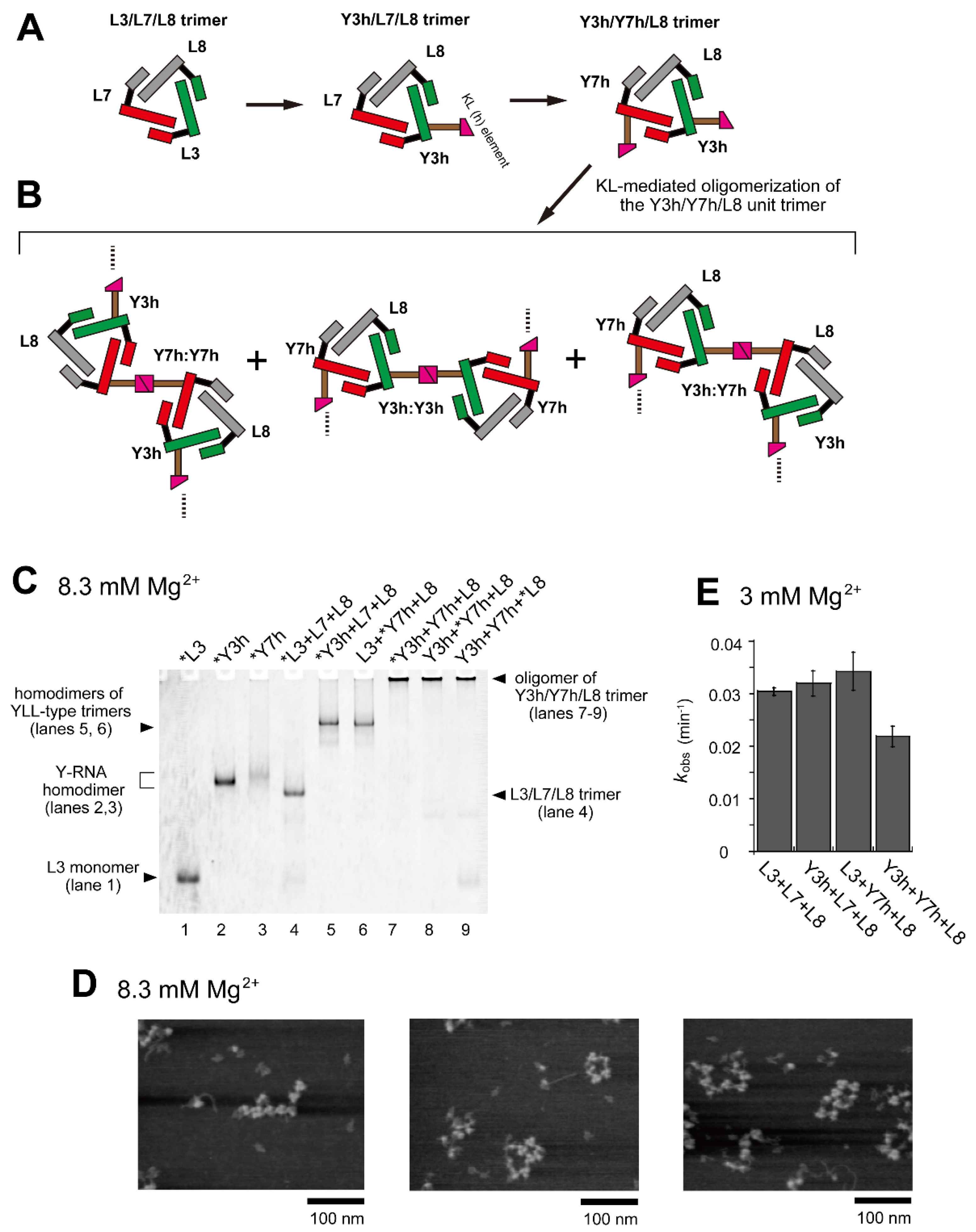 Molecules 28 06465 g003 Molecules 28 06465 g003