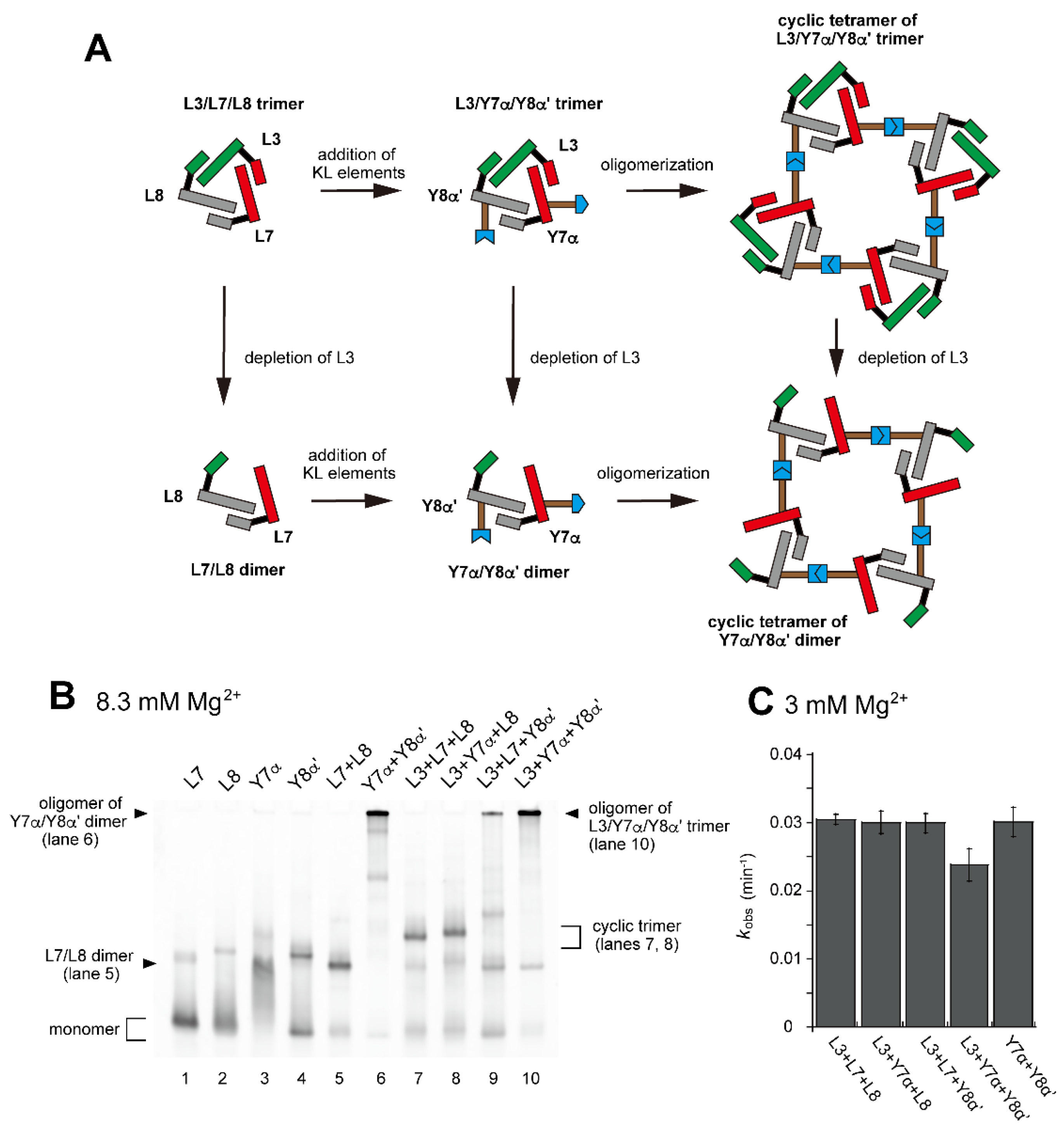 Molecules 28 06465 g005 Molecules 28 06465 g005