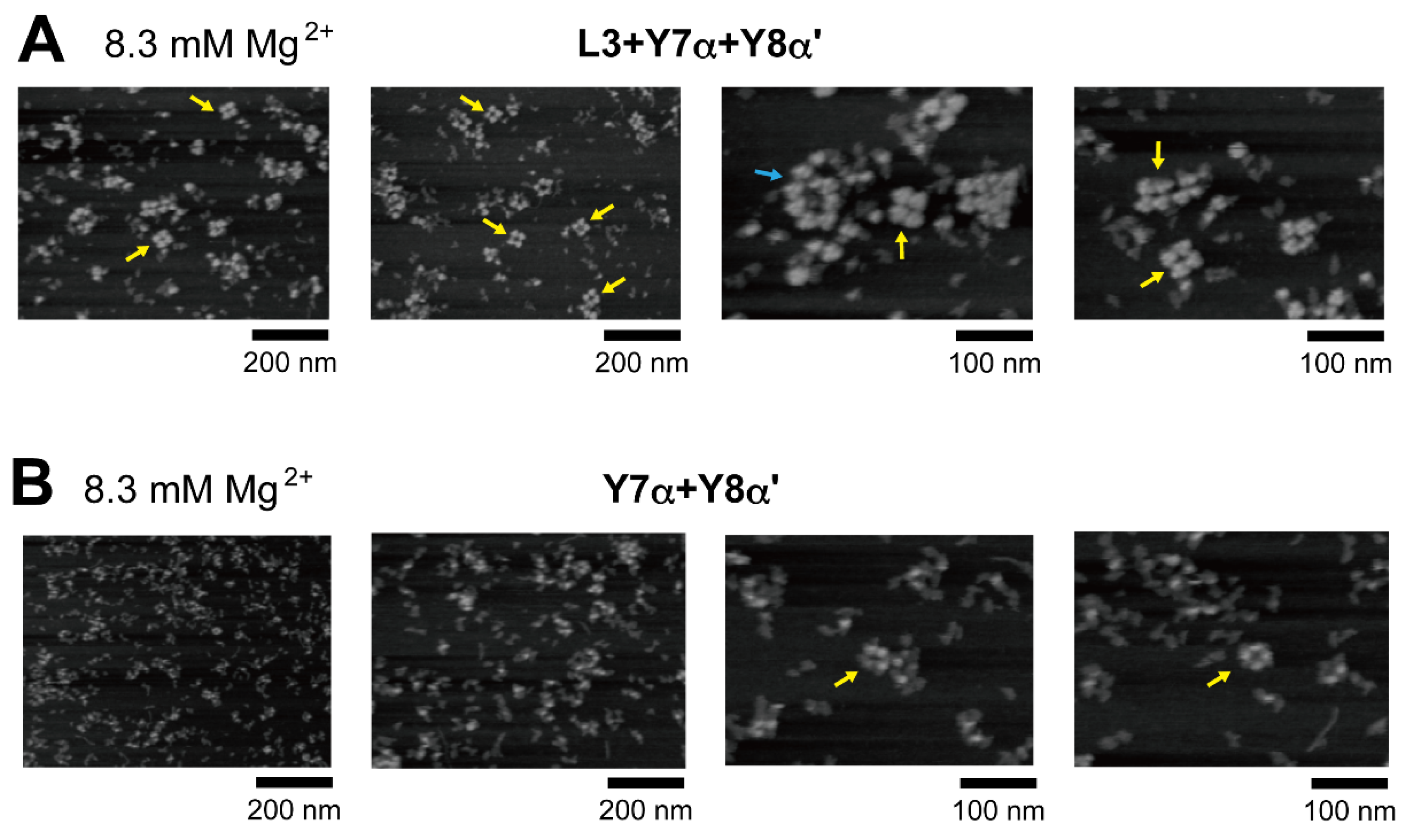 Molecules 28 06465 g006 Molecules 28 06465 g006