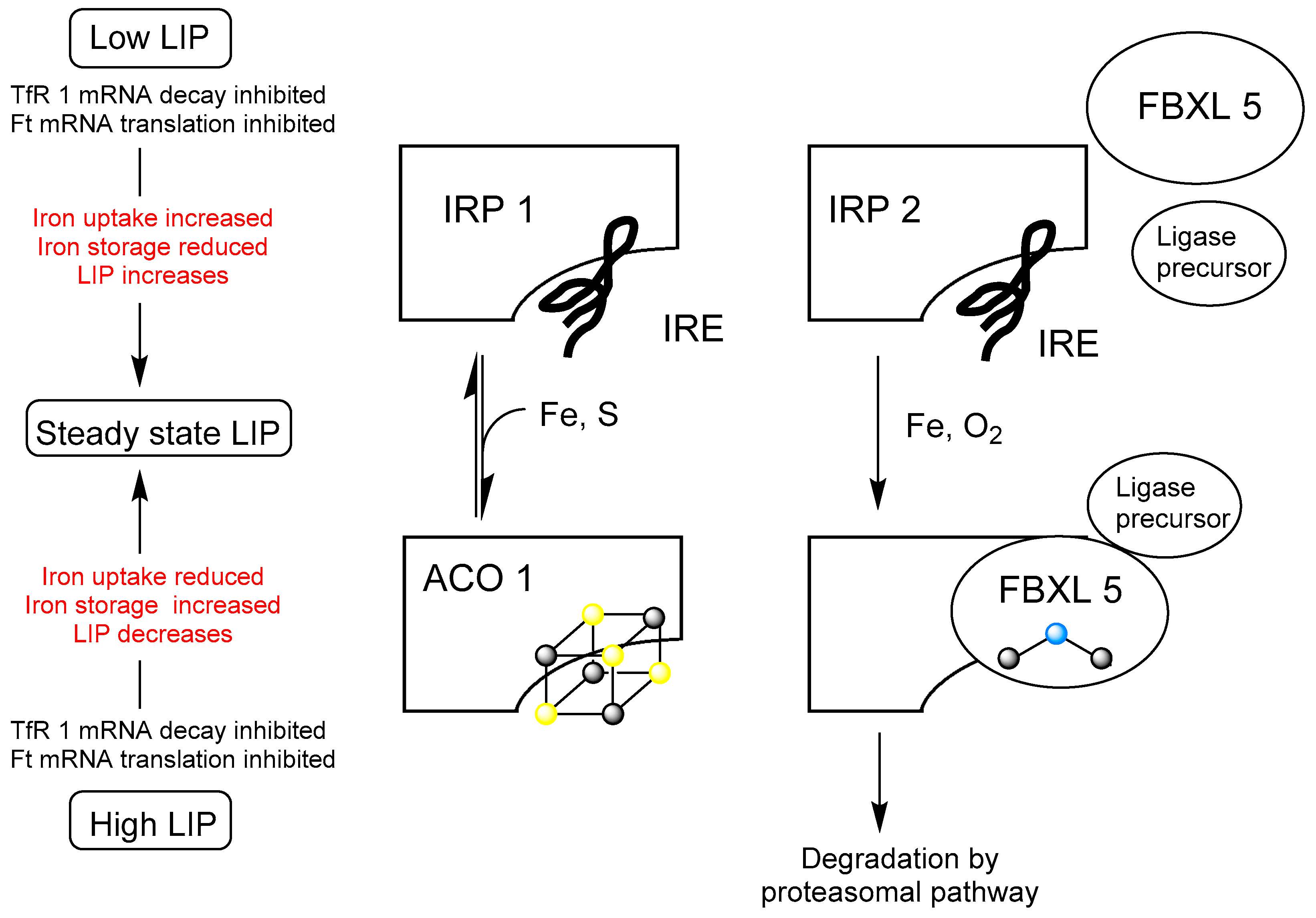 Molecules 28 06467 g001