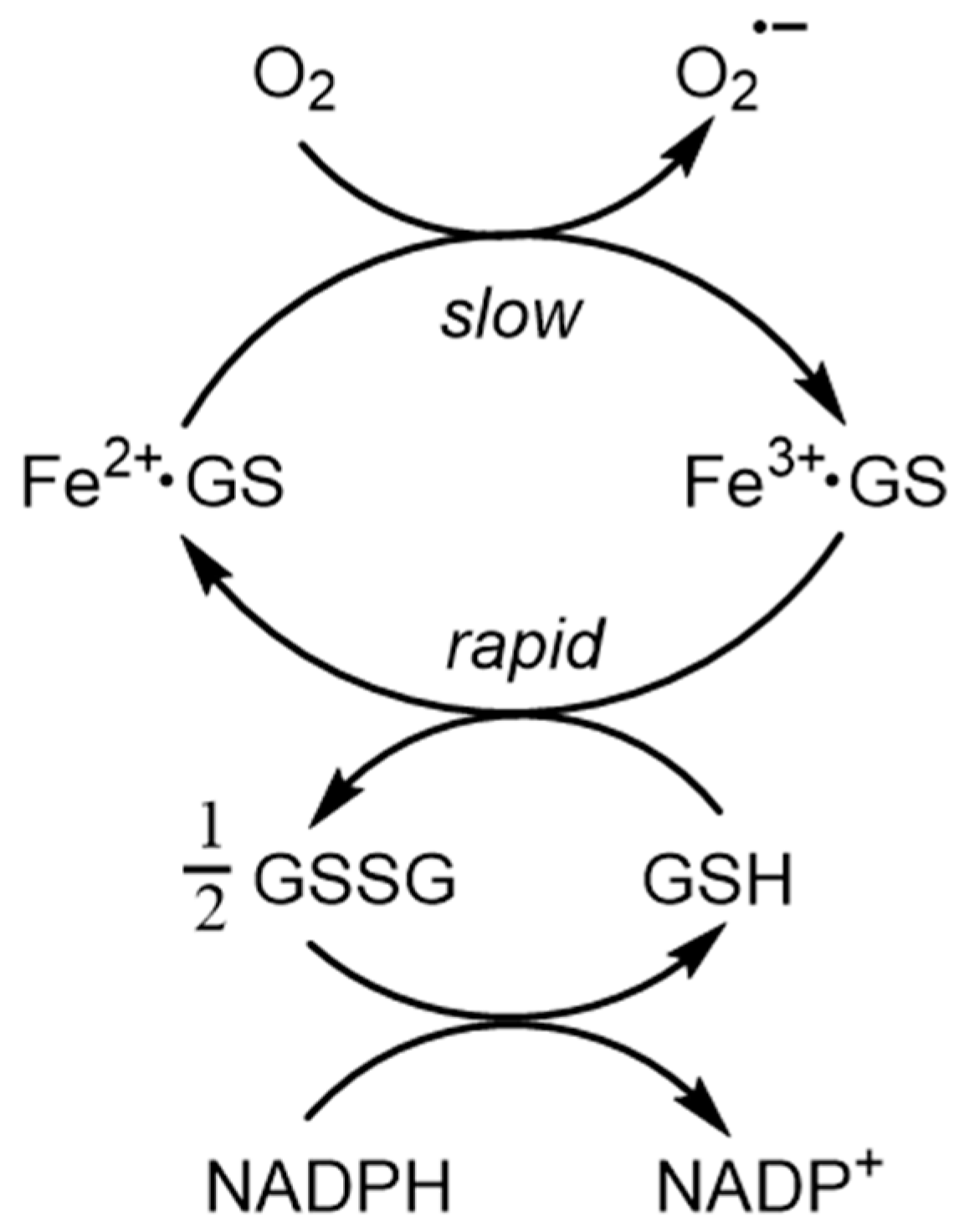 Molecules 28 06467 g003
