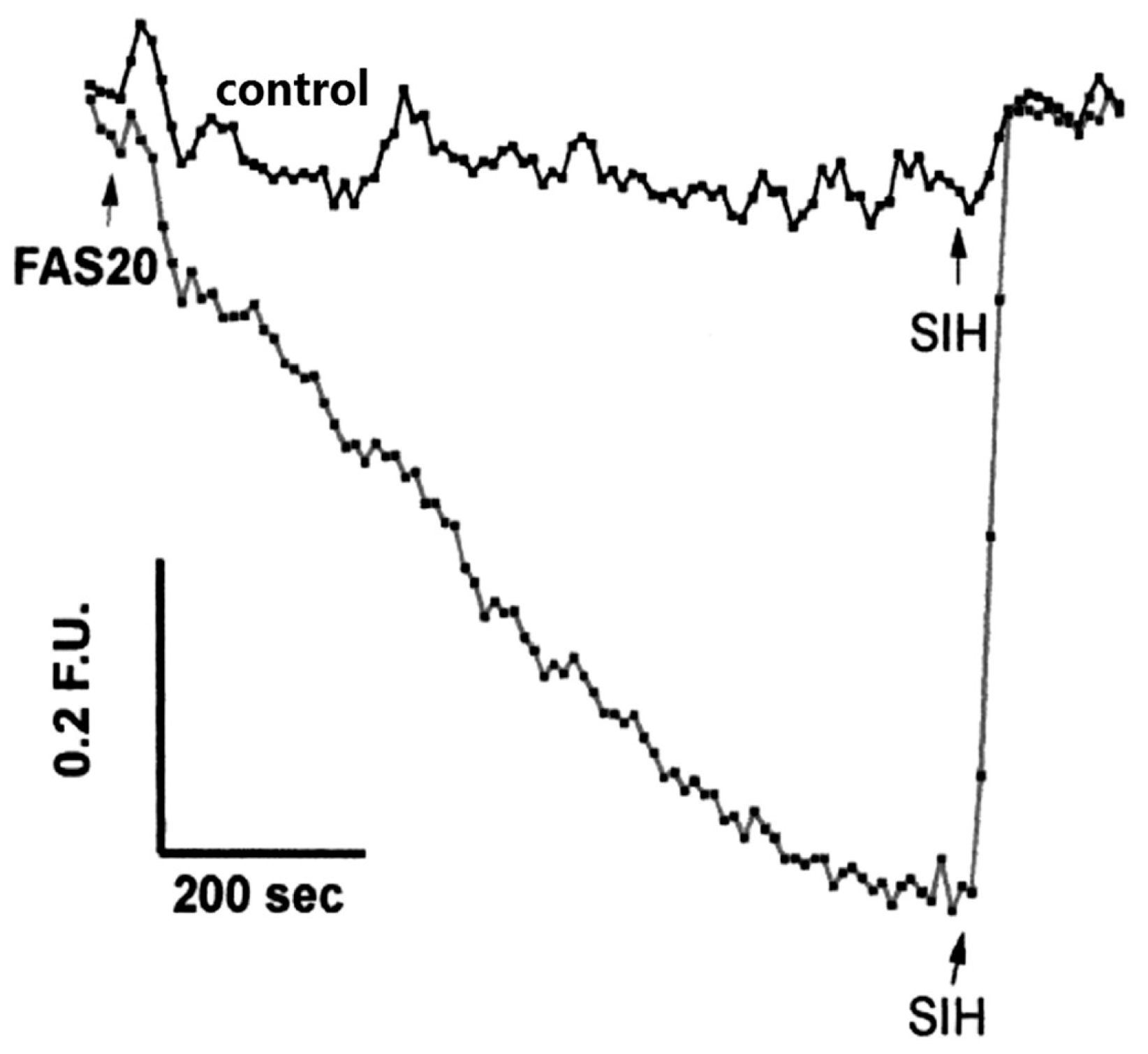 Molecules 28 06467 g004