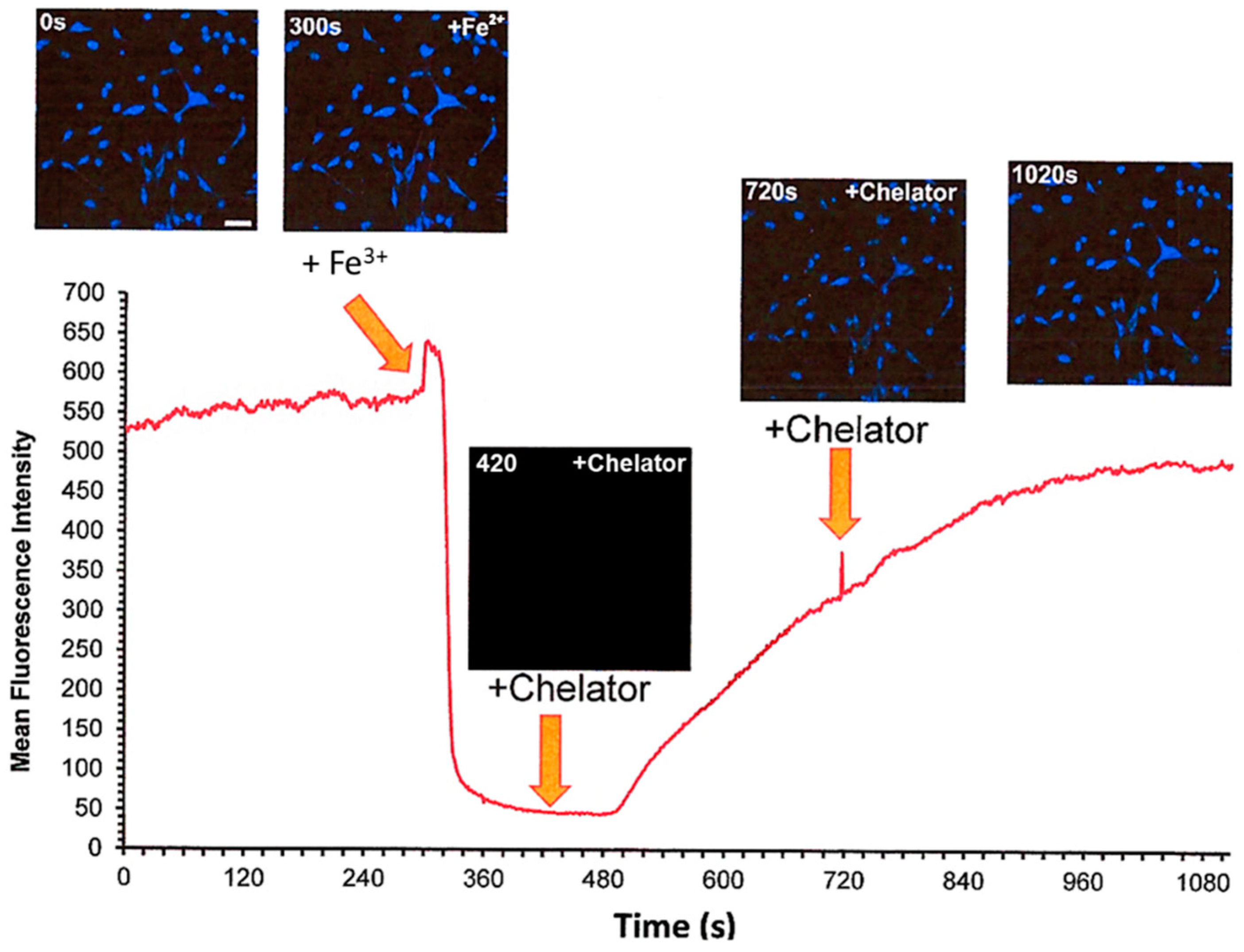 Molecules 28 06467 g012