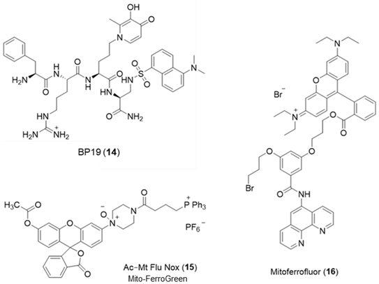 Molecules 28 06467 i012